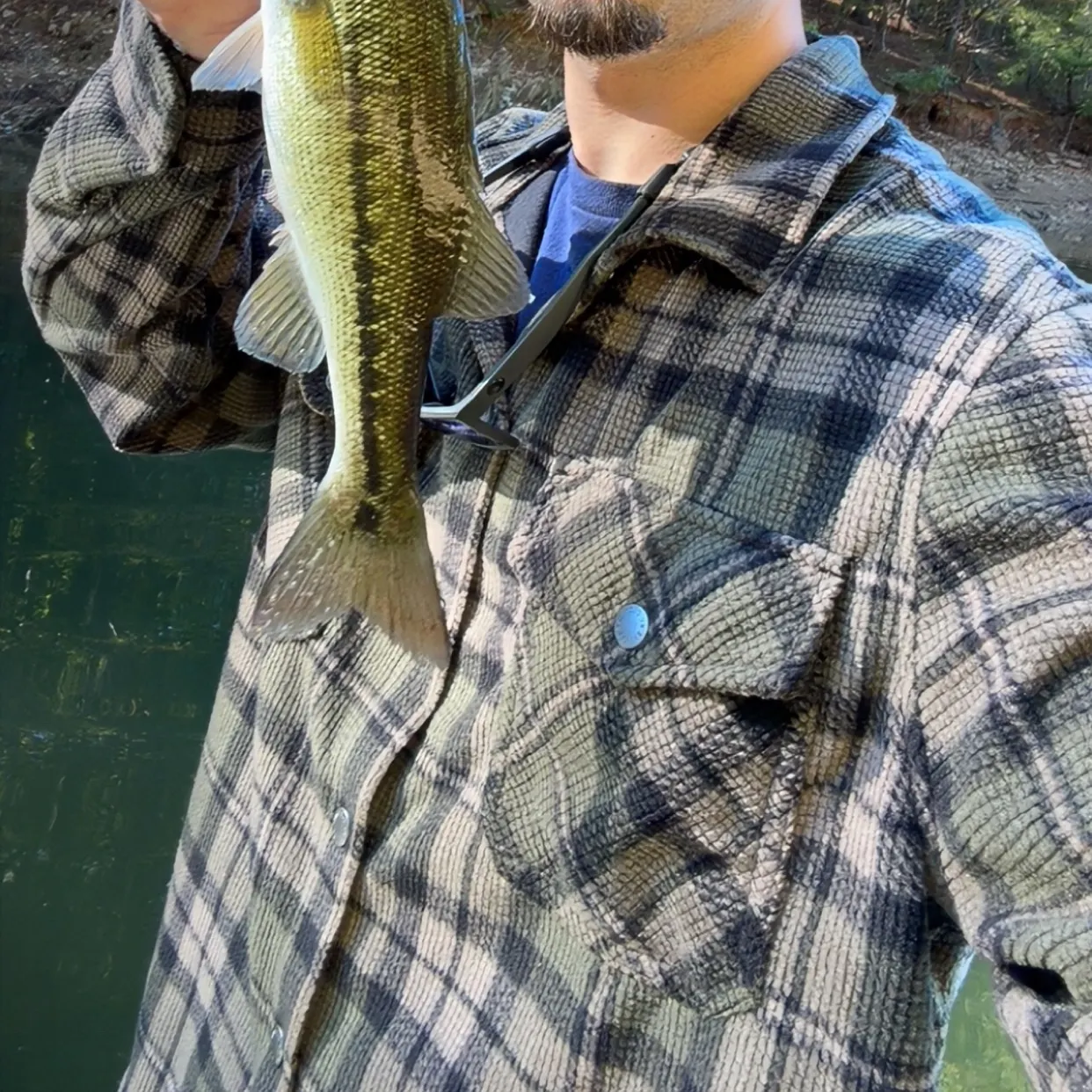 Spotted bass caught on Fishbrain
