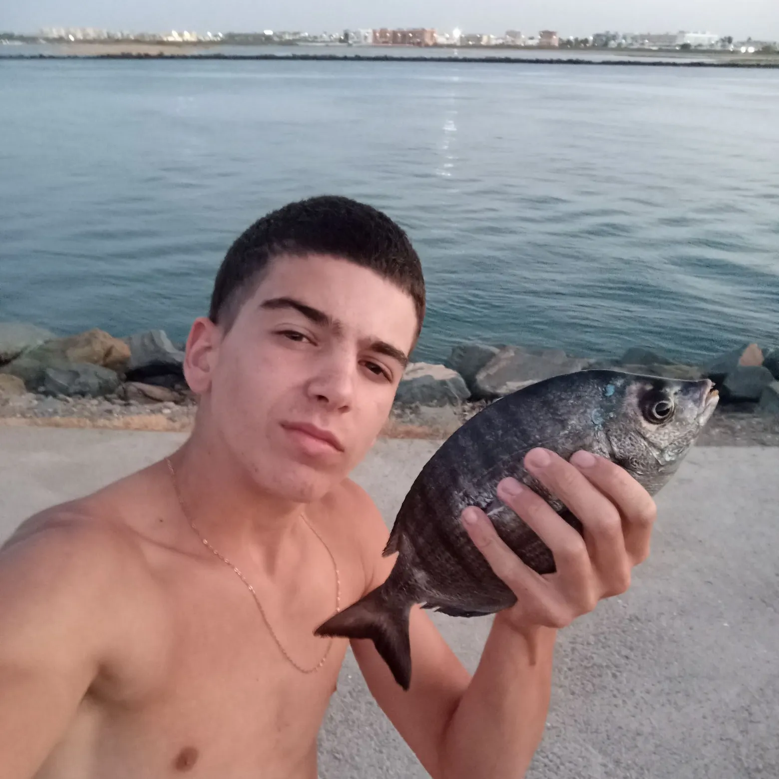White seabream caught on Fishbrain