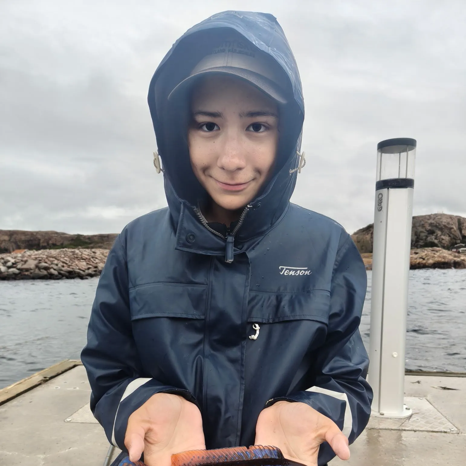 The most recent Cuckoo wrasse catches on Fishbrain