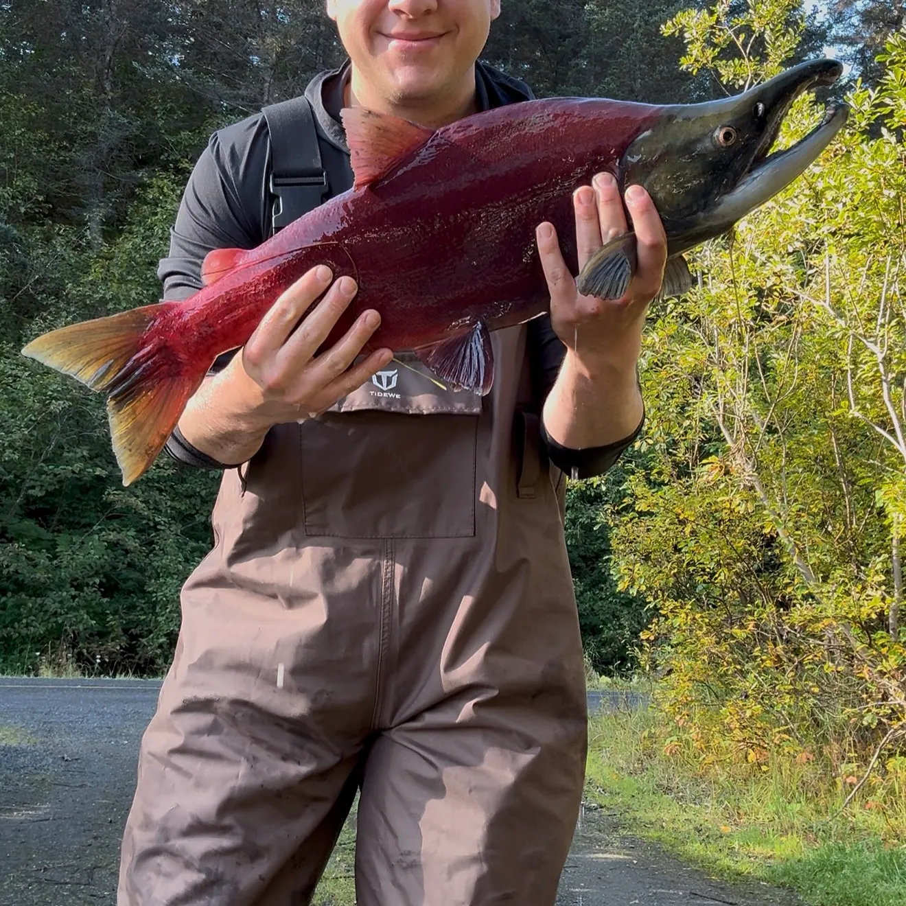 Sockeye salmon caught on Fishbrain