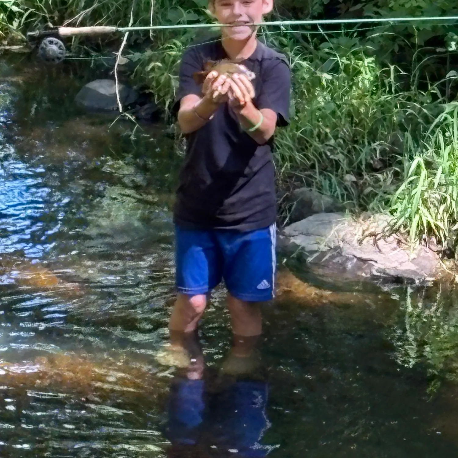 Redbreast sunfish caught on Fishbrain