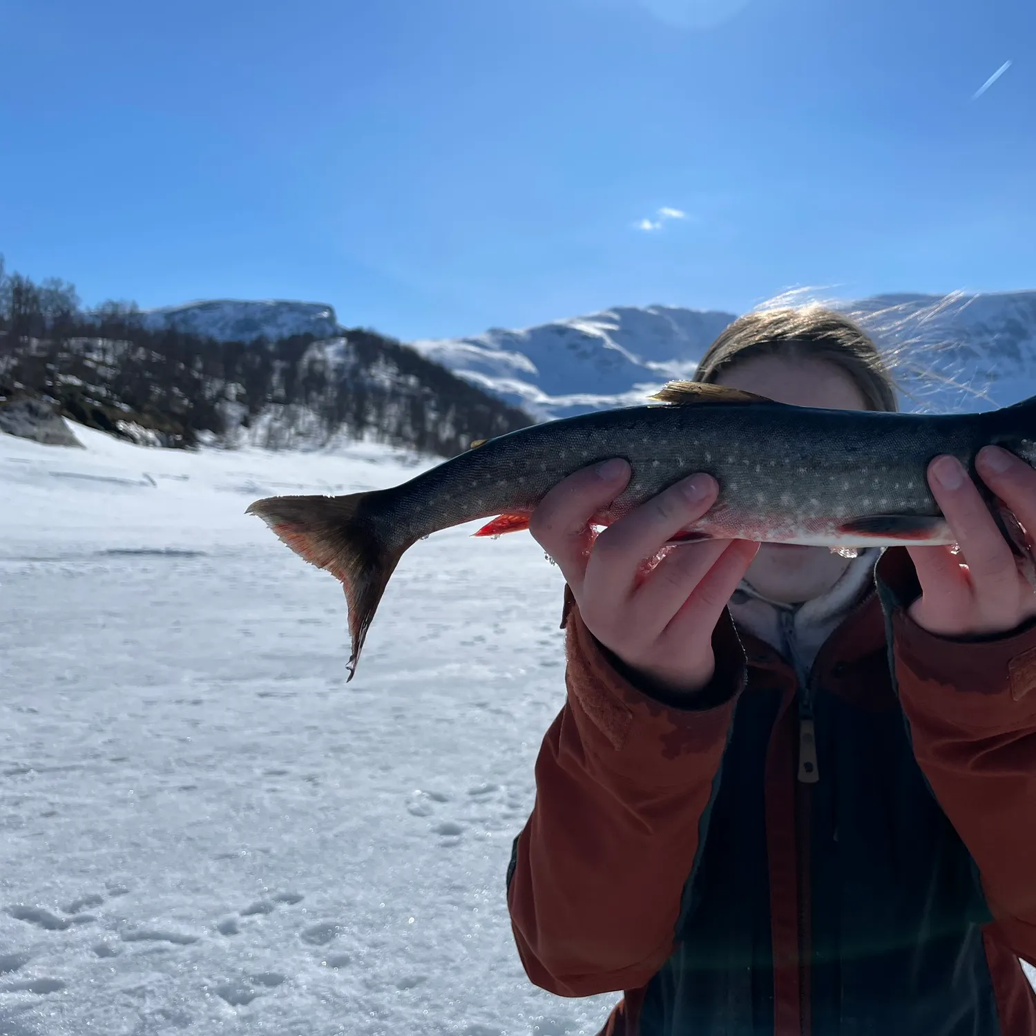 The most recent Arctic char catches on Fishbrain