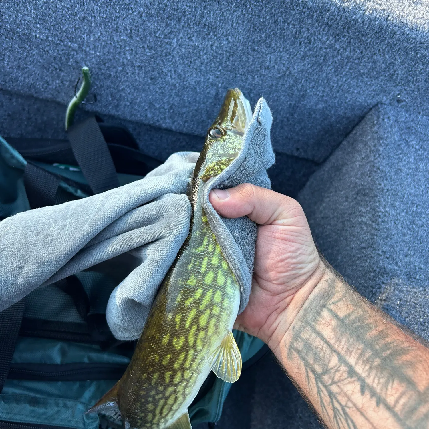 catch