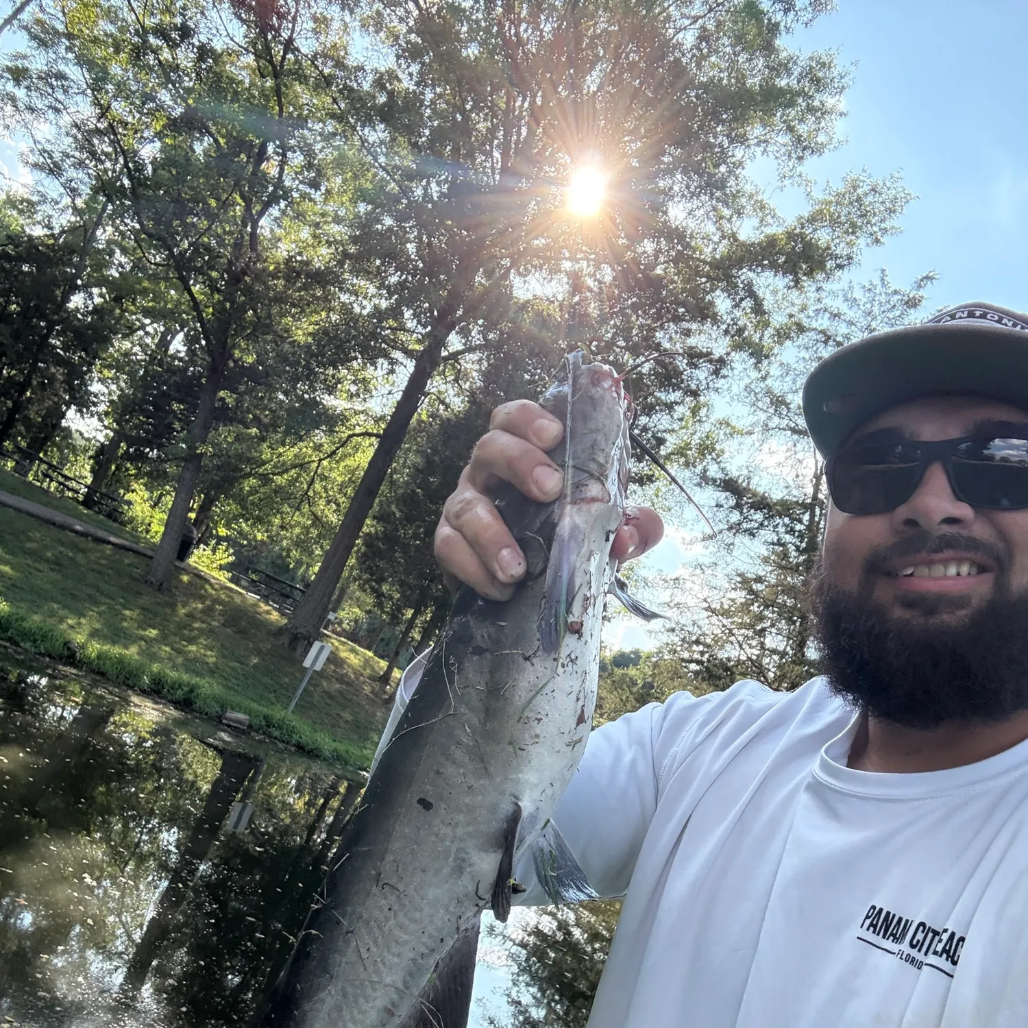 Channel catfish caught on Fishbrain