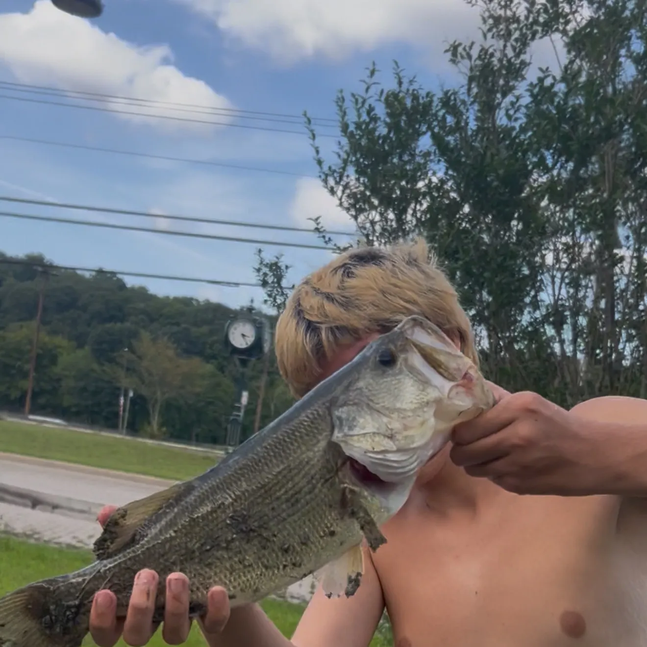 Largemouth bass caught on Fishbrain