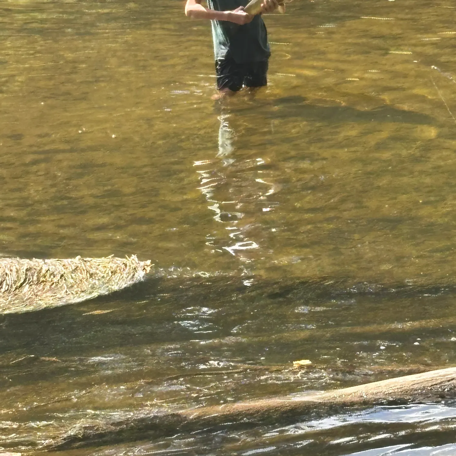 The most recent Greater redhorse catches on Fishbrain