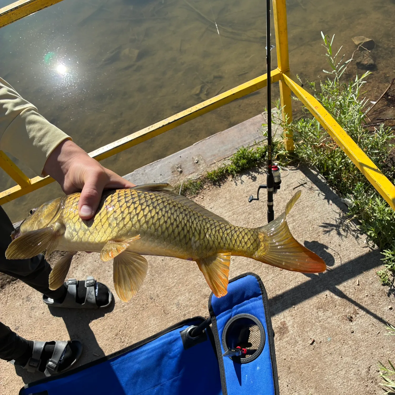 catch