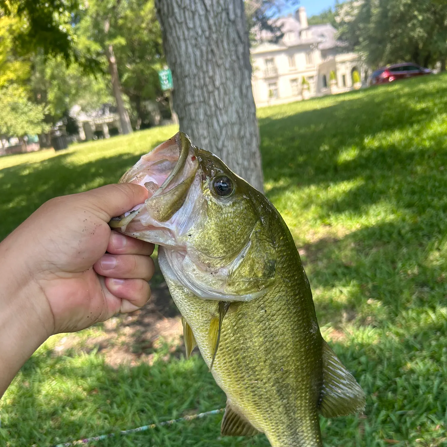 catch