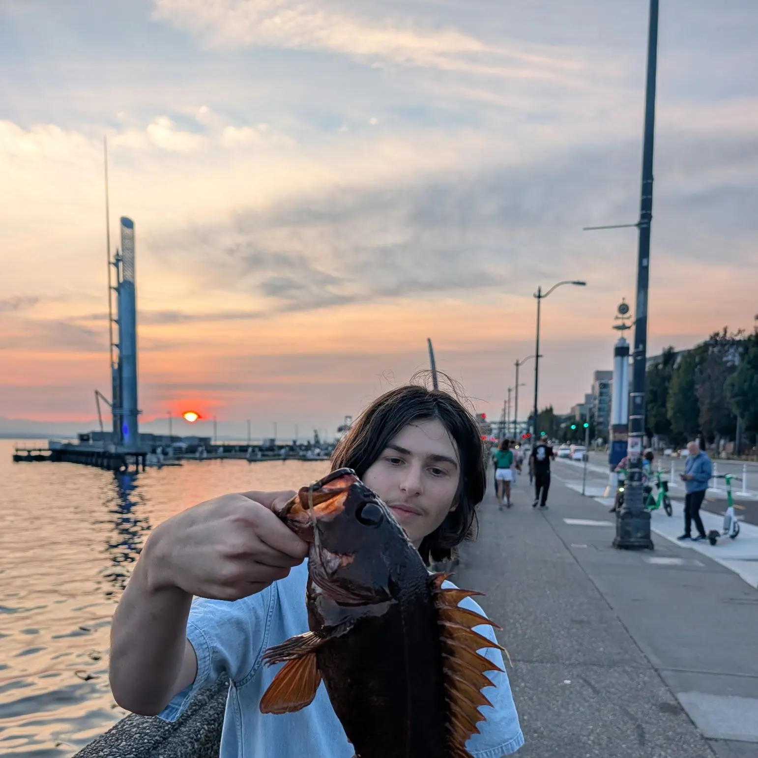 The most recent Brown rockfish catches on Fishbrain