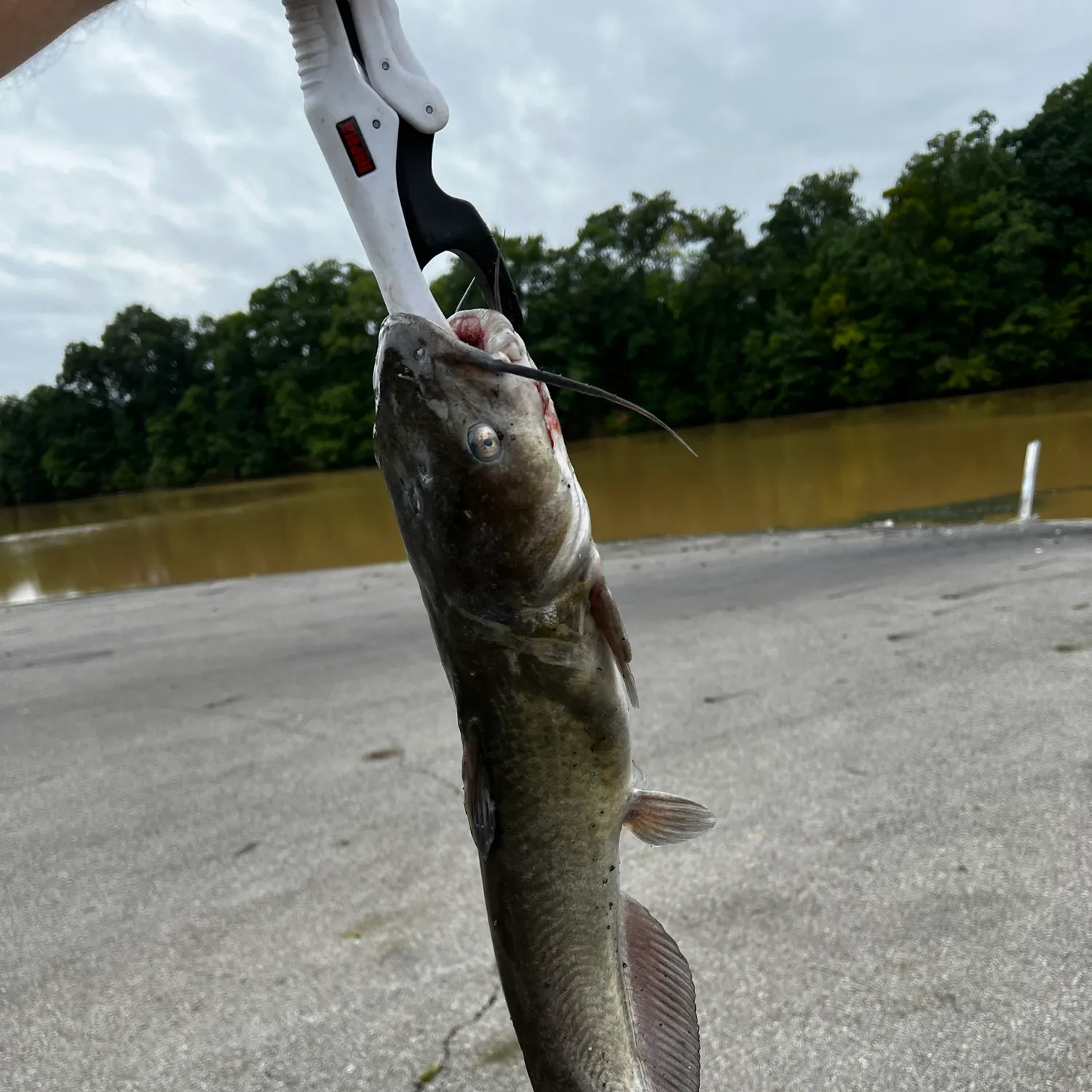 catch