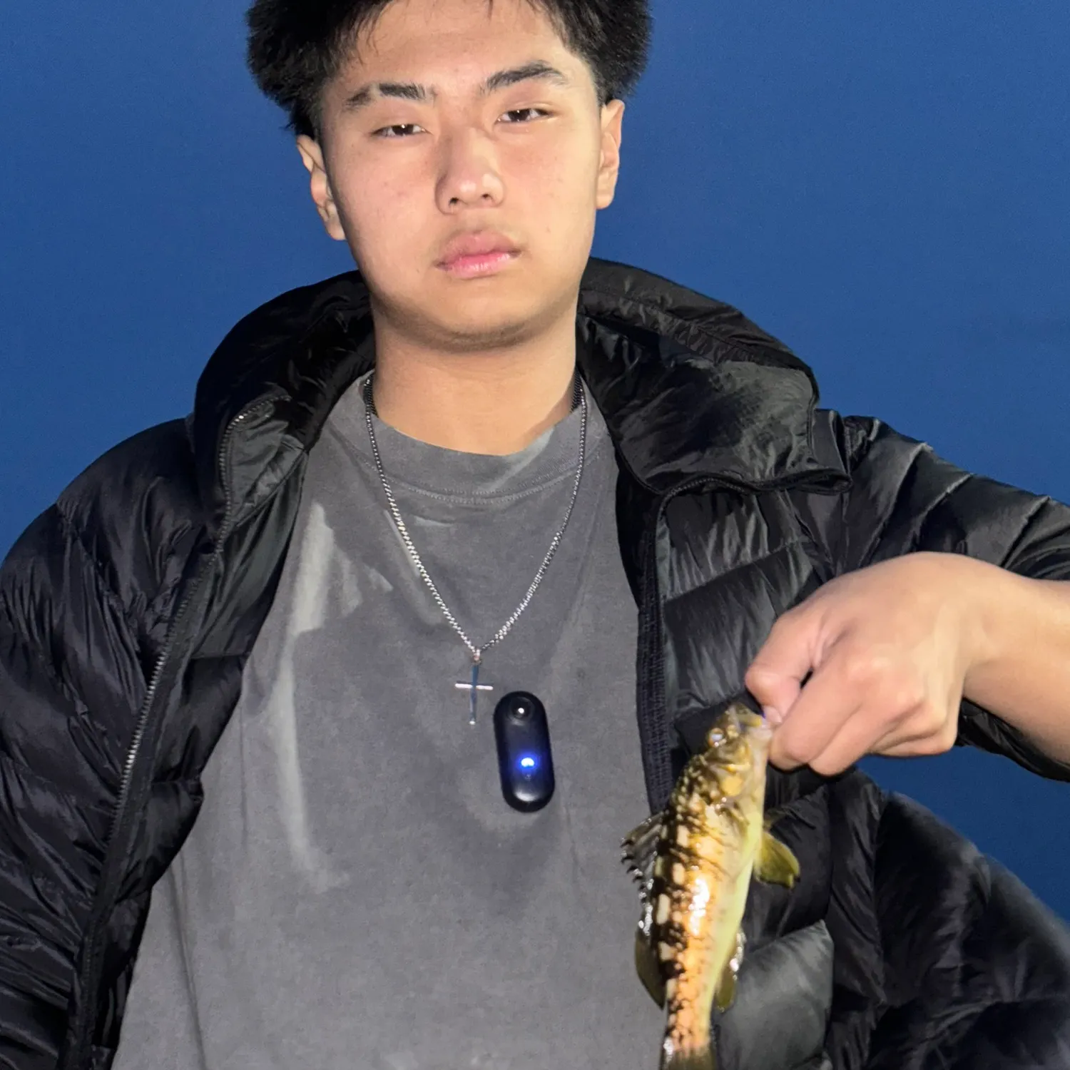 The most recent Kelp greenling catches on Fishbrain