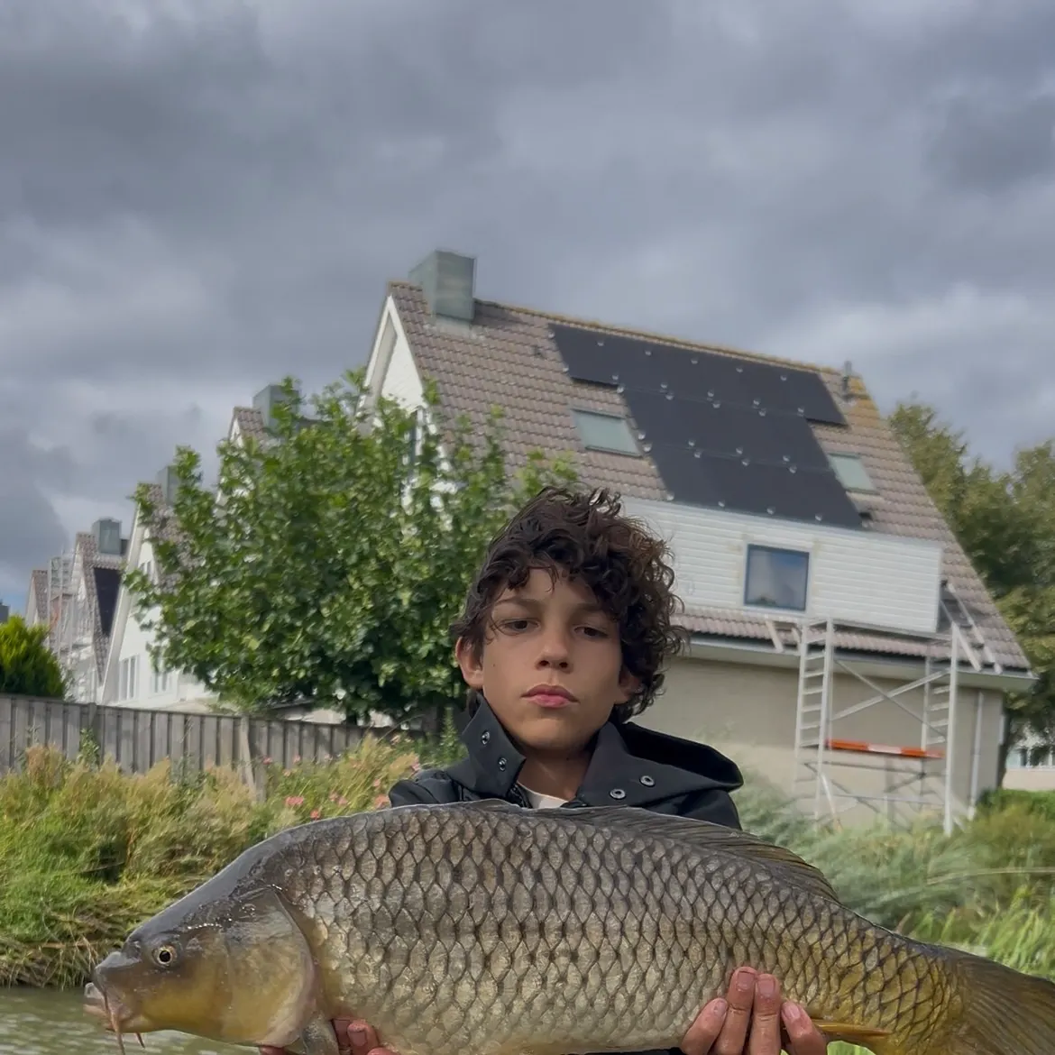 Common carp caught on Fishbrain