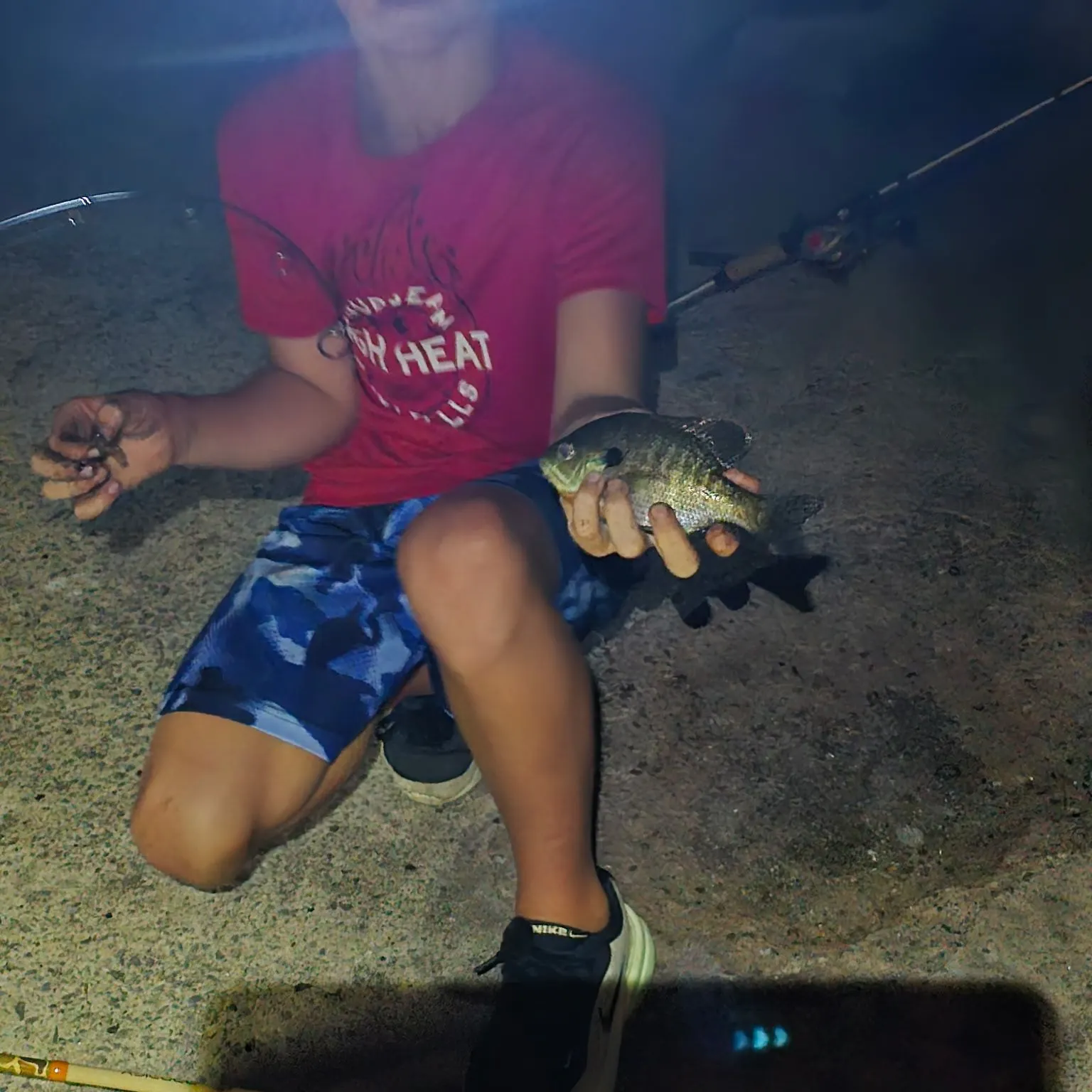 Bluegill caught on Fishbrain