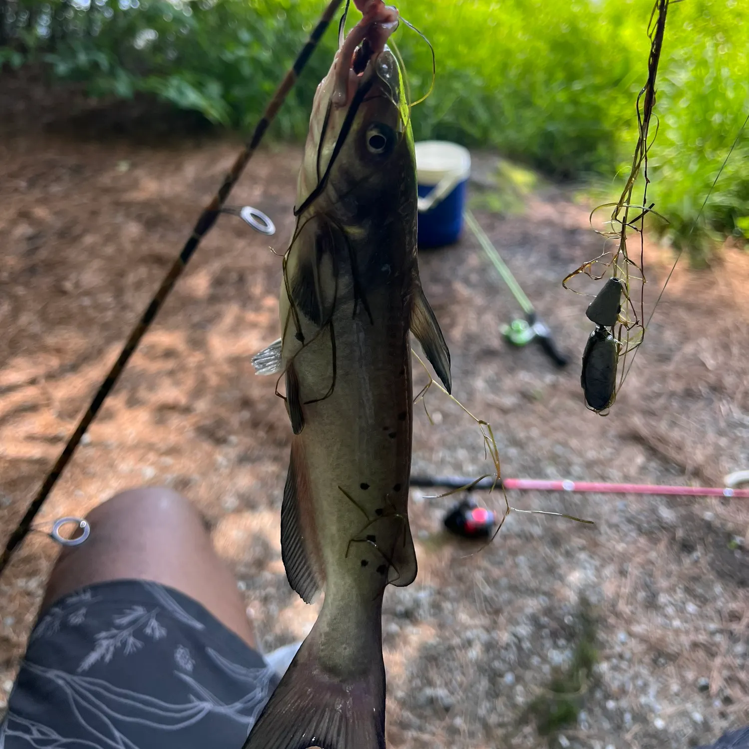catch