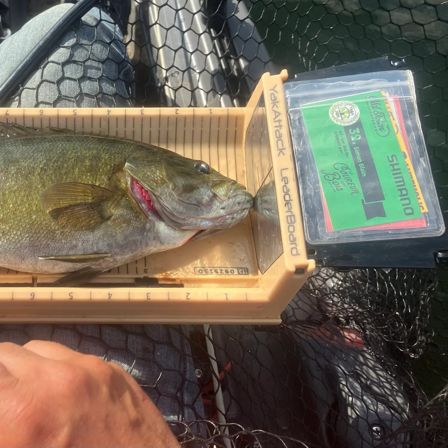 recently logged catches