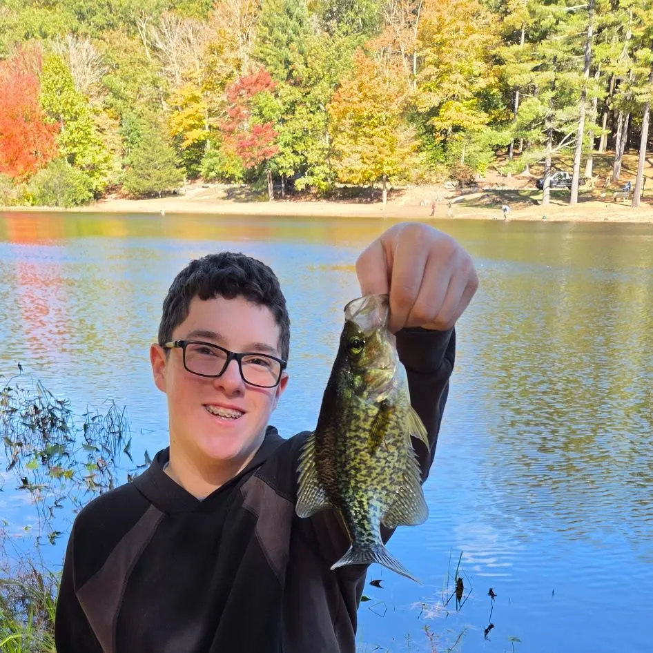 Black crappie caught on Fishbrain