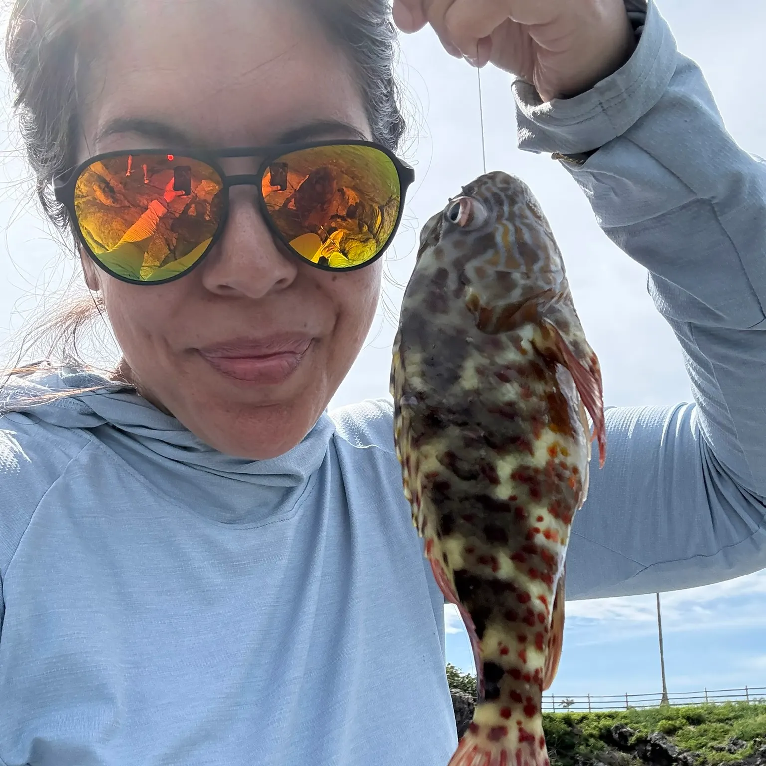 The most recent Stocky hawkfish catches on Fishbrain