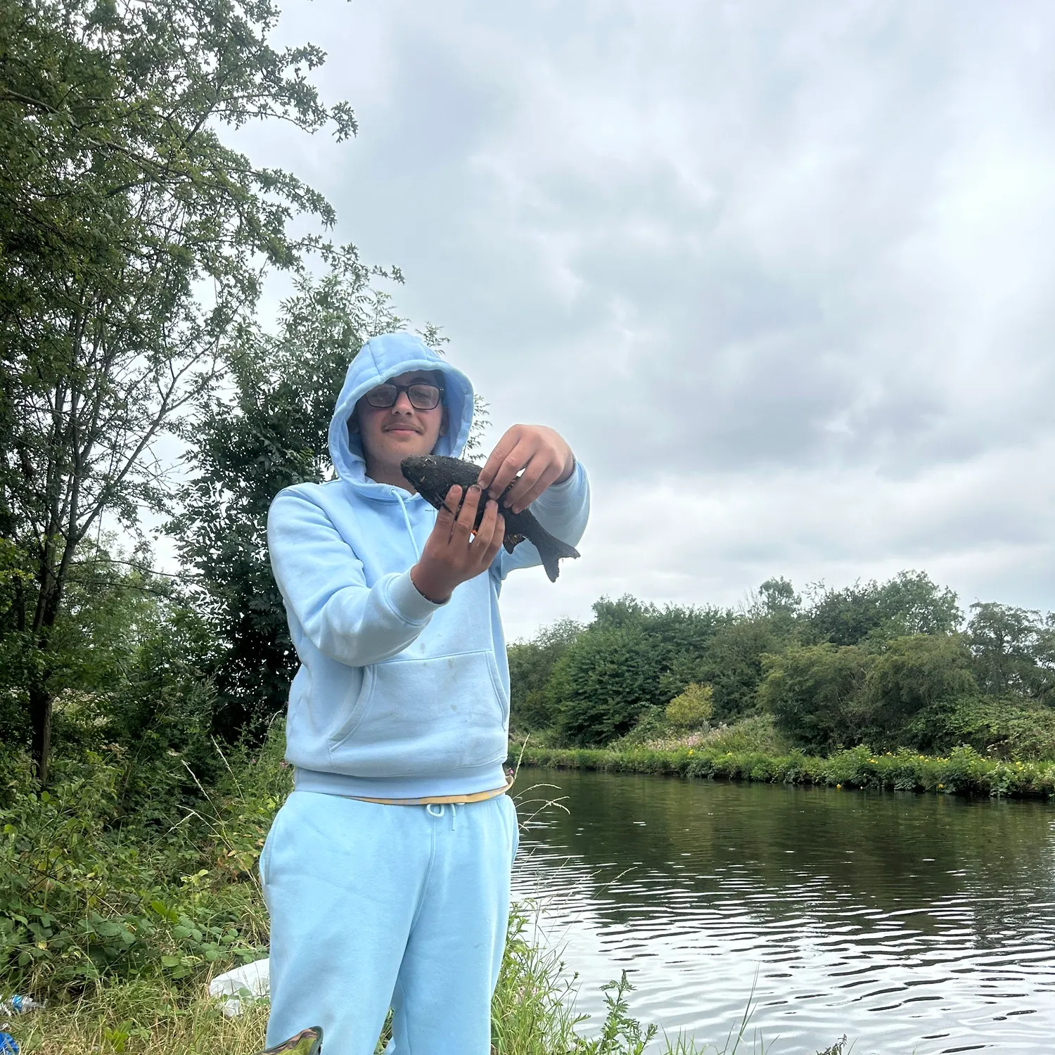 Common carp caught on Fishbrain