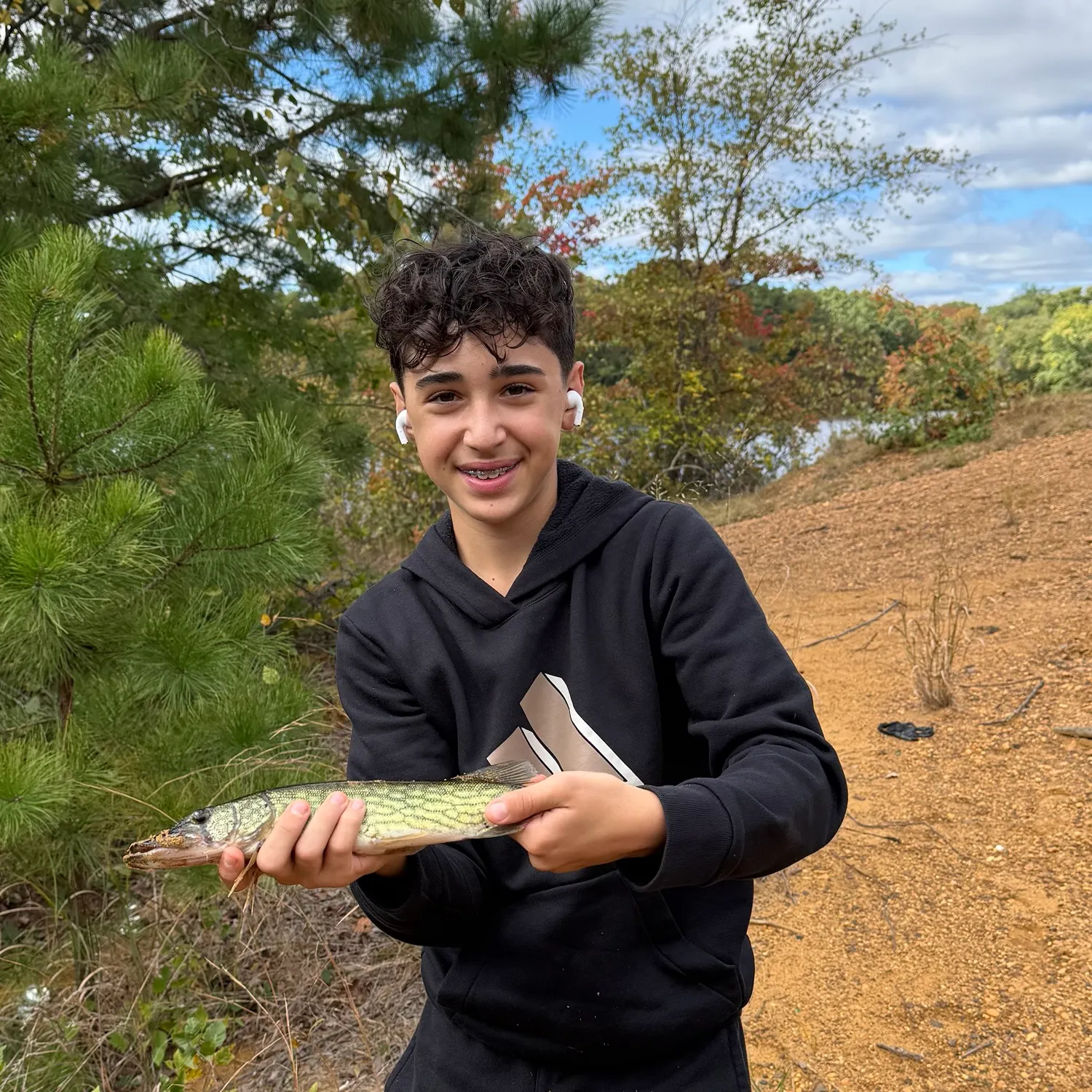 Chain pickerel caught on Fishbrain