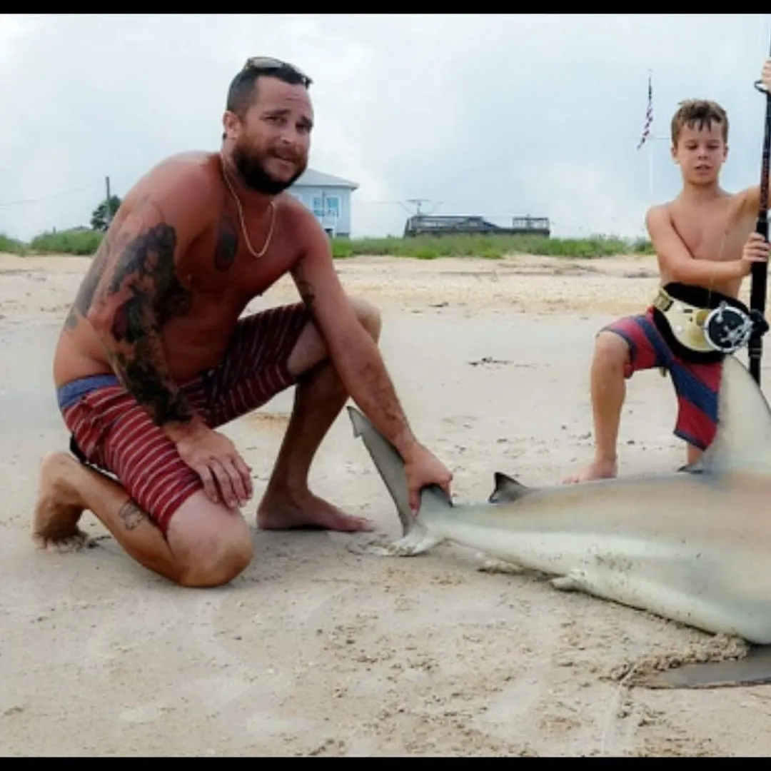 The most recent Spinner shark catches on Fishbrain