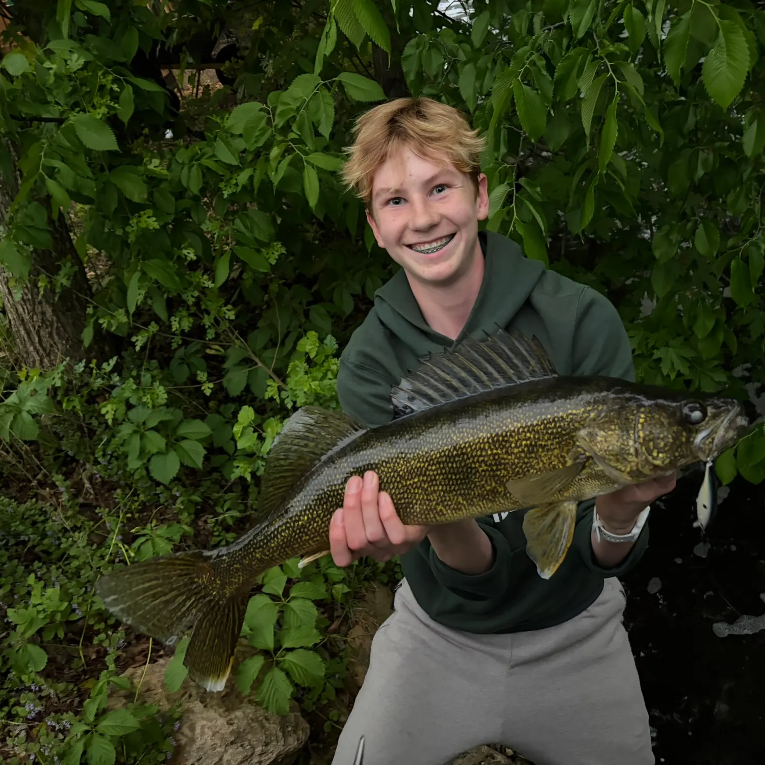 The most recent Walleye catches on Fishbrain