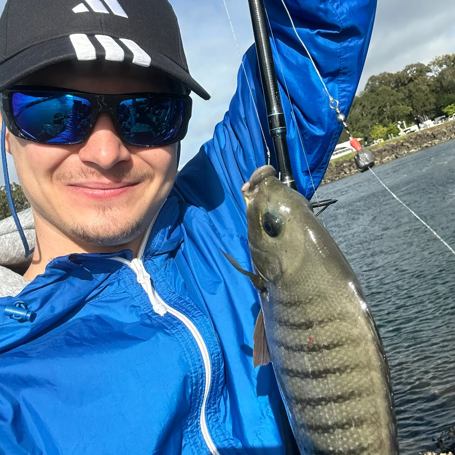 The most recent Luderick catches on Fishbrain