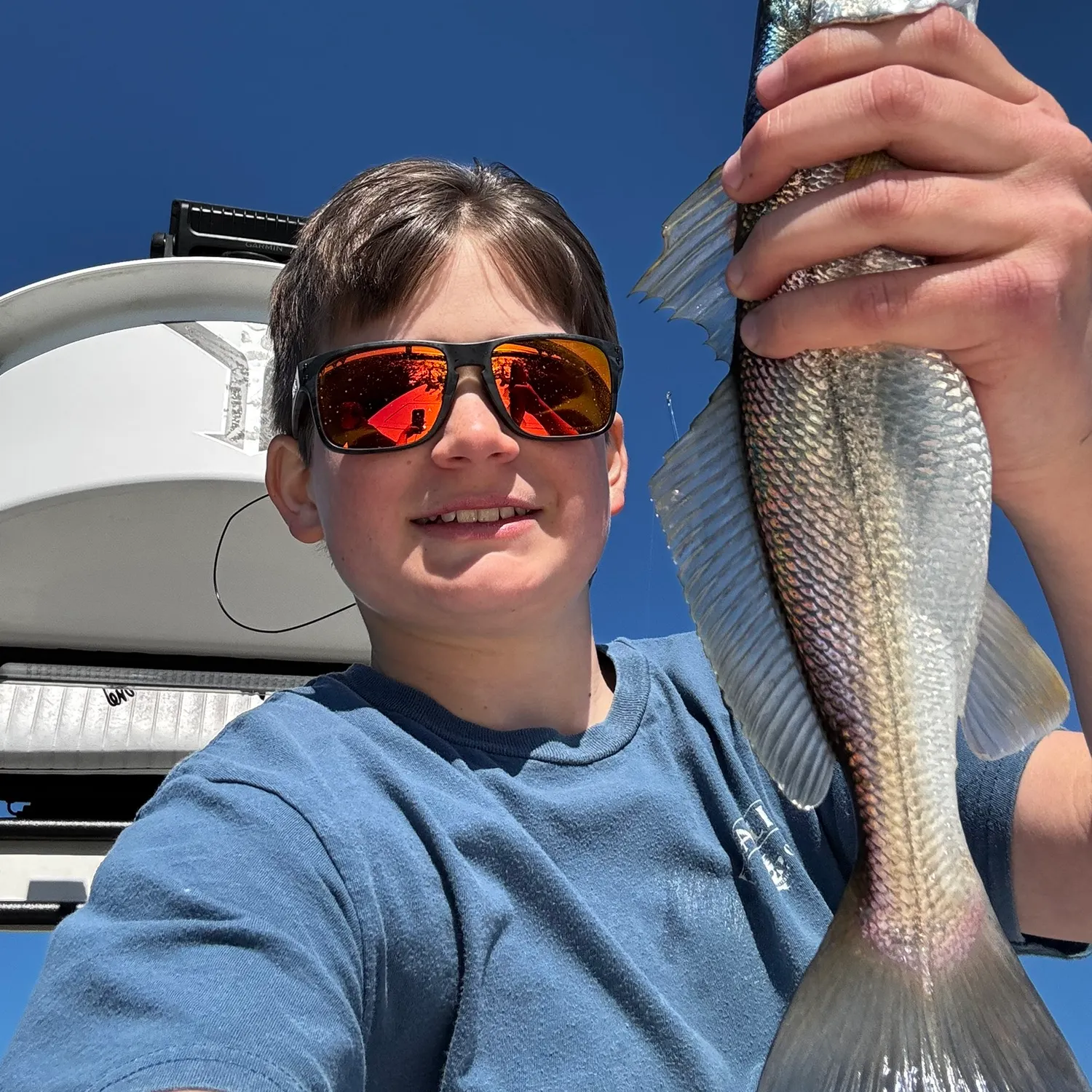 The most recent Sand seatrout catches on Fishbrain