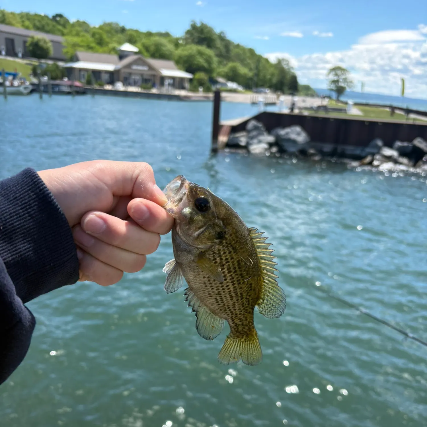 catch