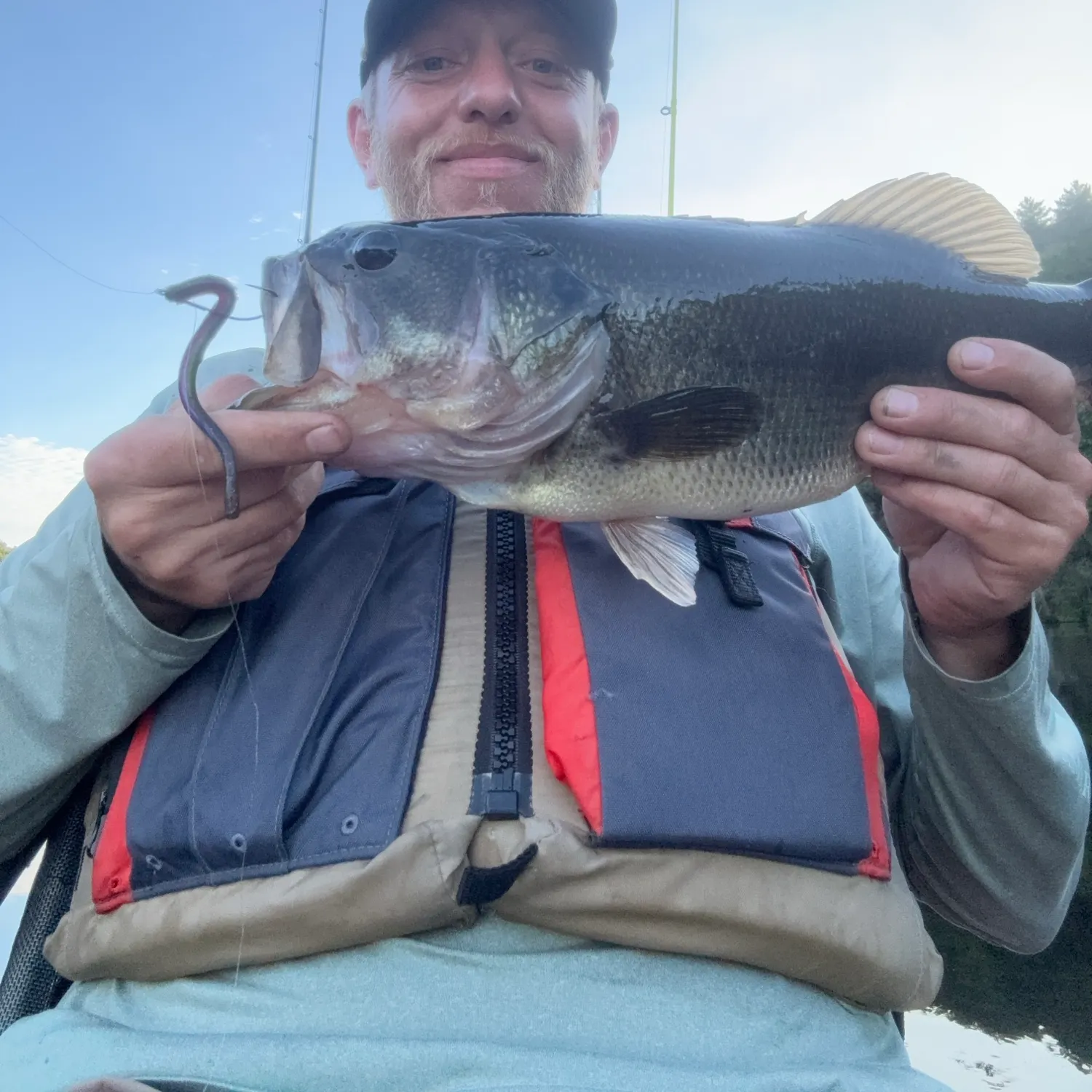 Largemouth bass caught on Fishbrain