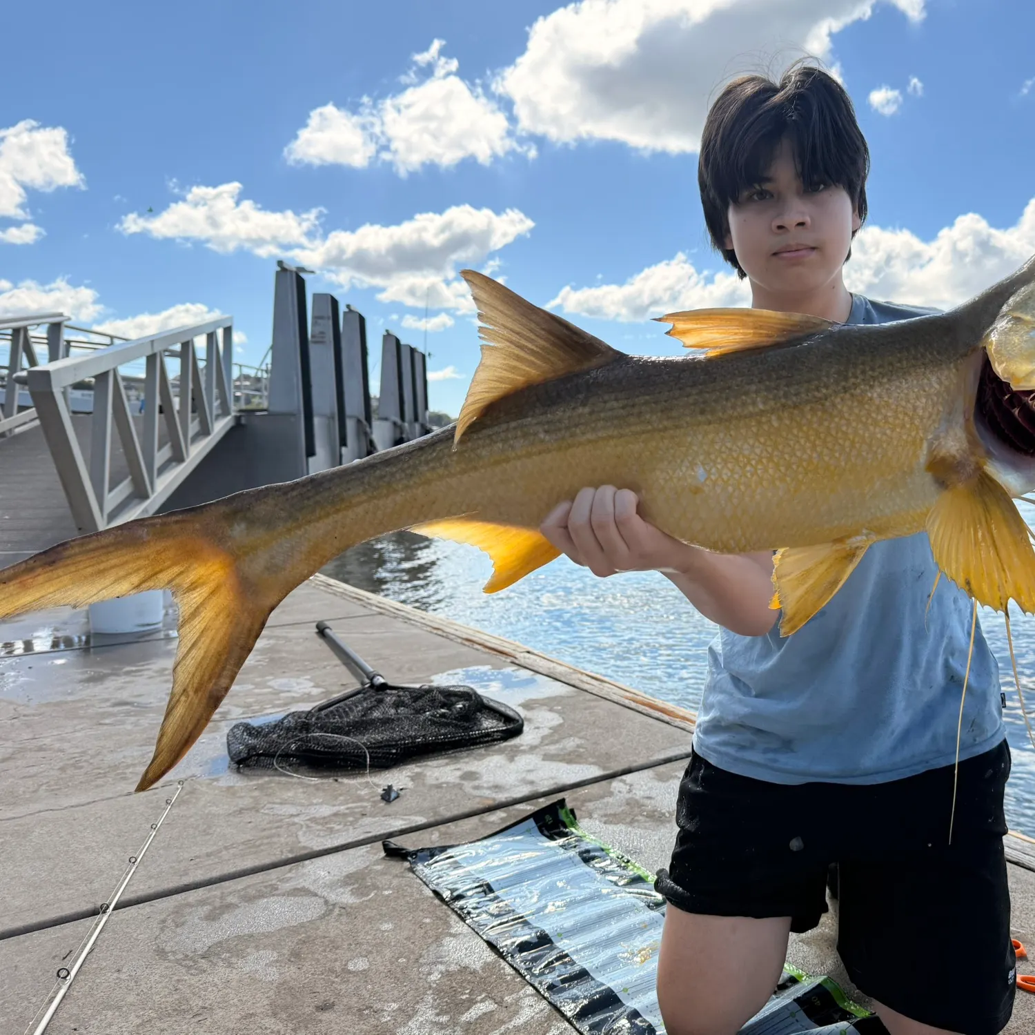 The most recent King threadfin catches on Fishbrain