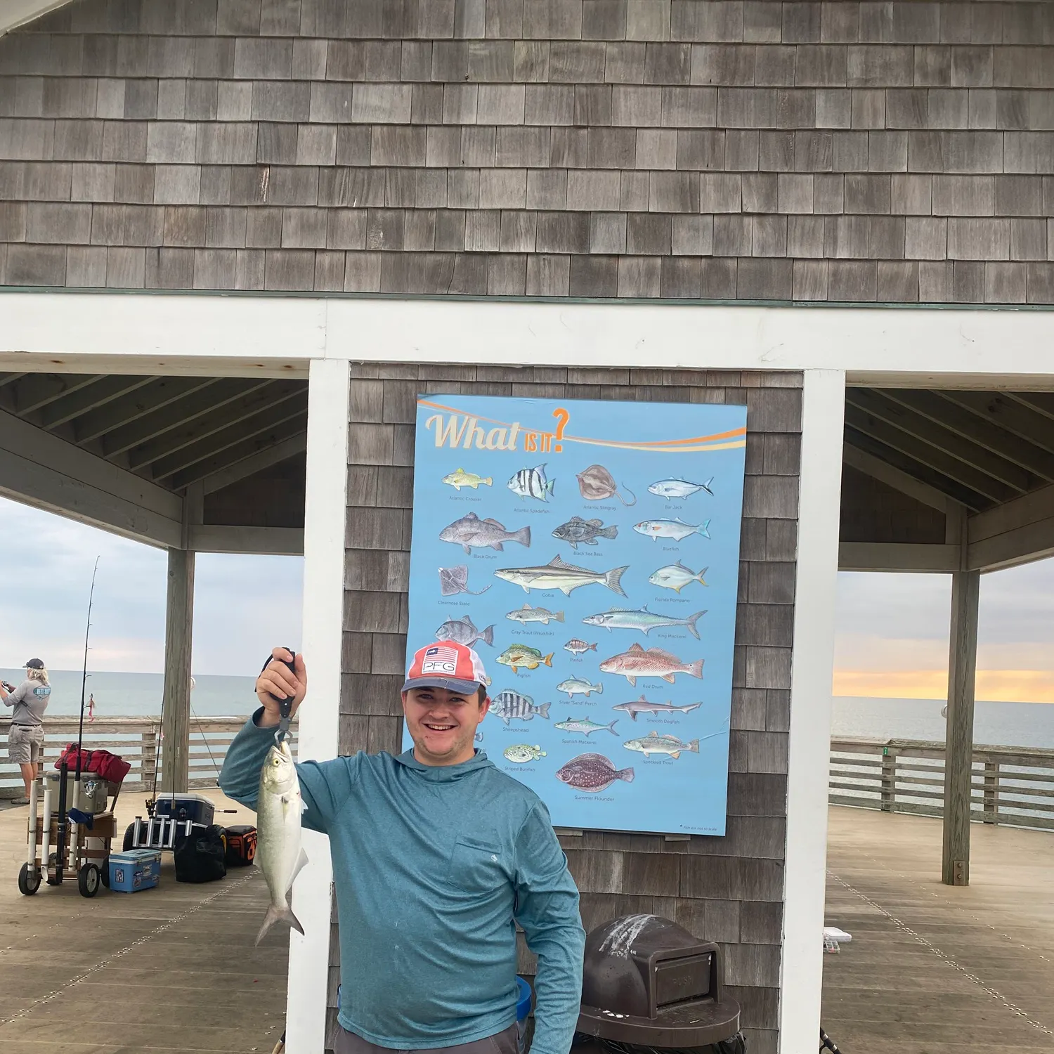 Bluefish caught on Fishbrain