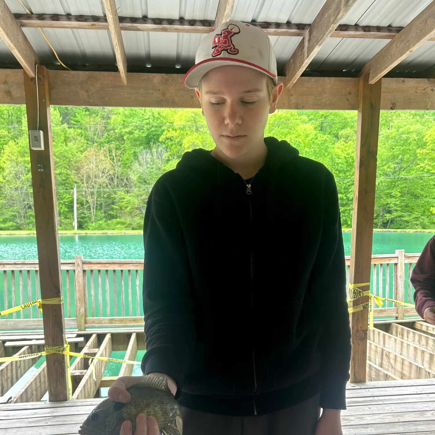 The most recent Bluegill catches on Fishbrain