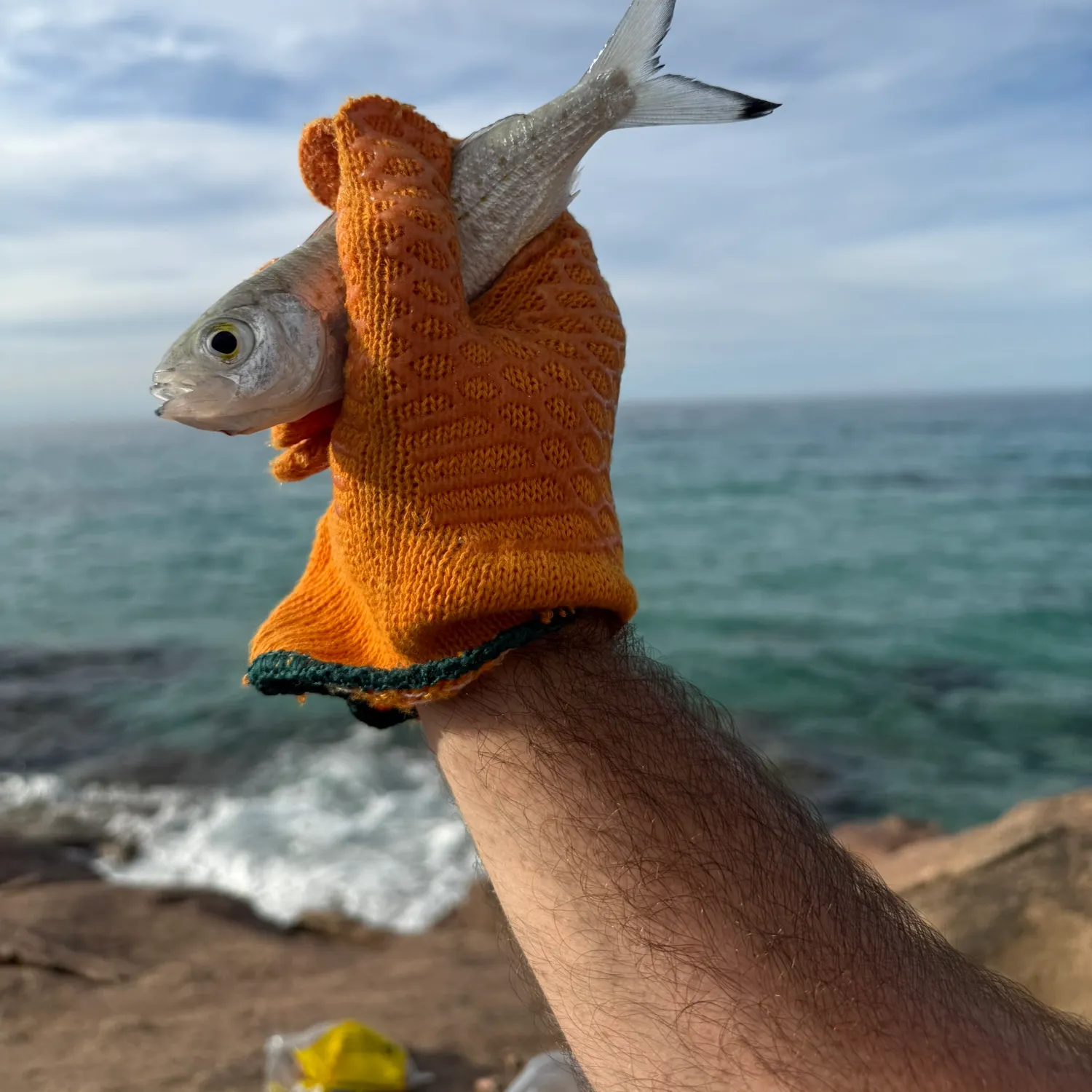 most liked catch image