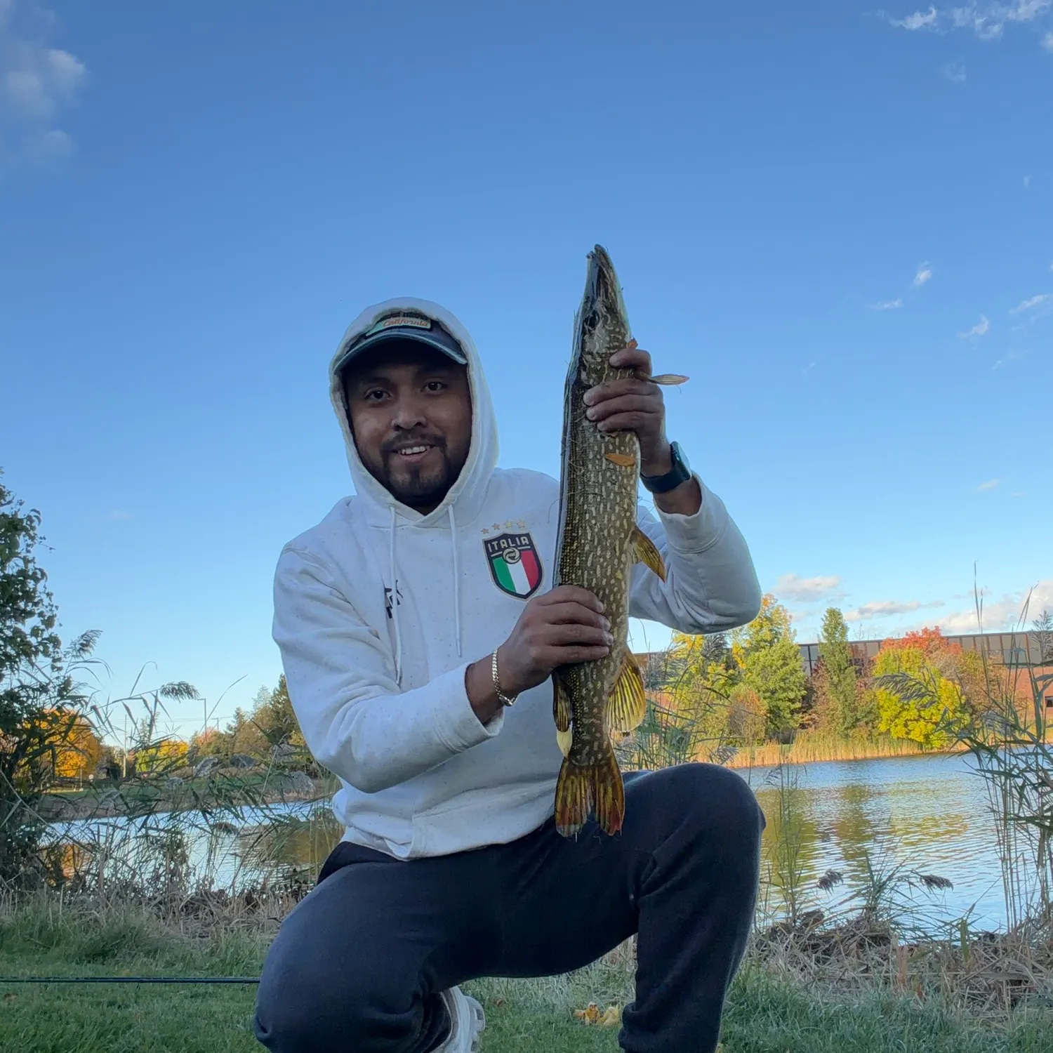 Northern pike caught on Fishbrain