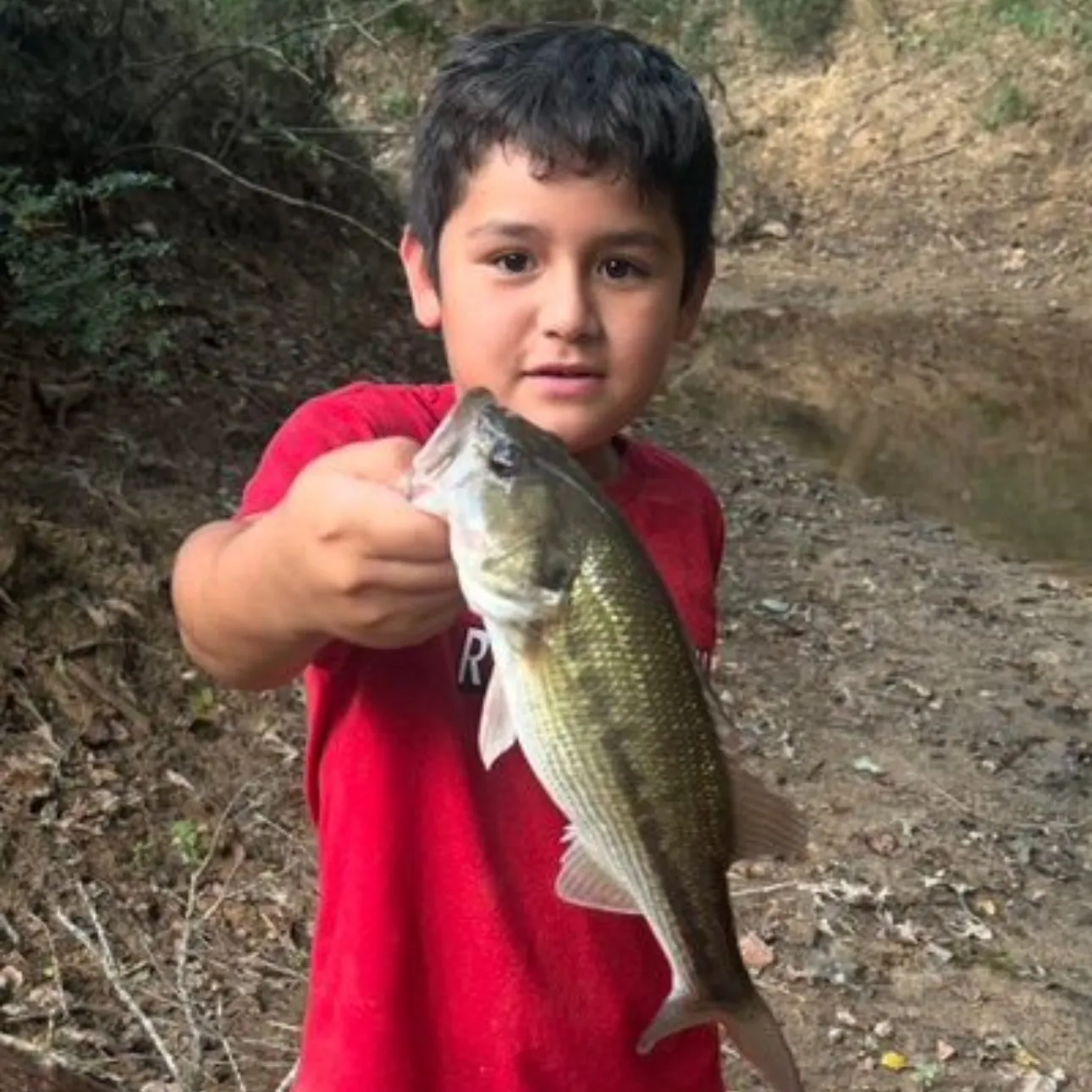 Spotted bass caught on Fishbrain