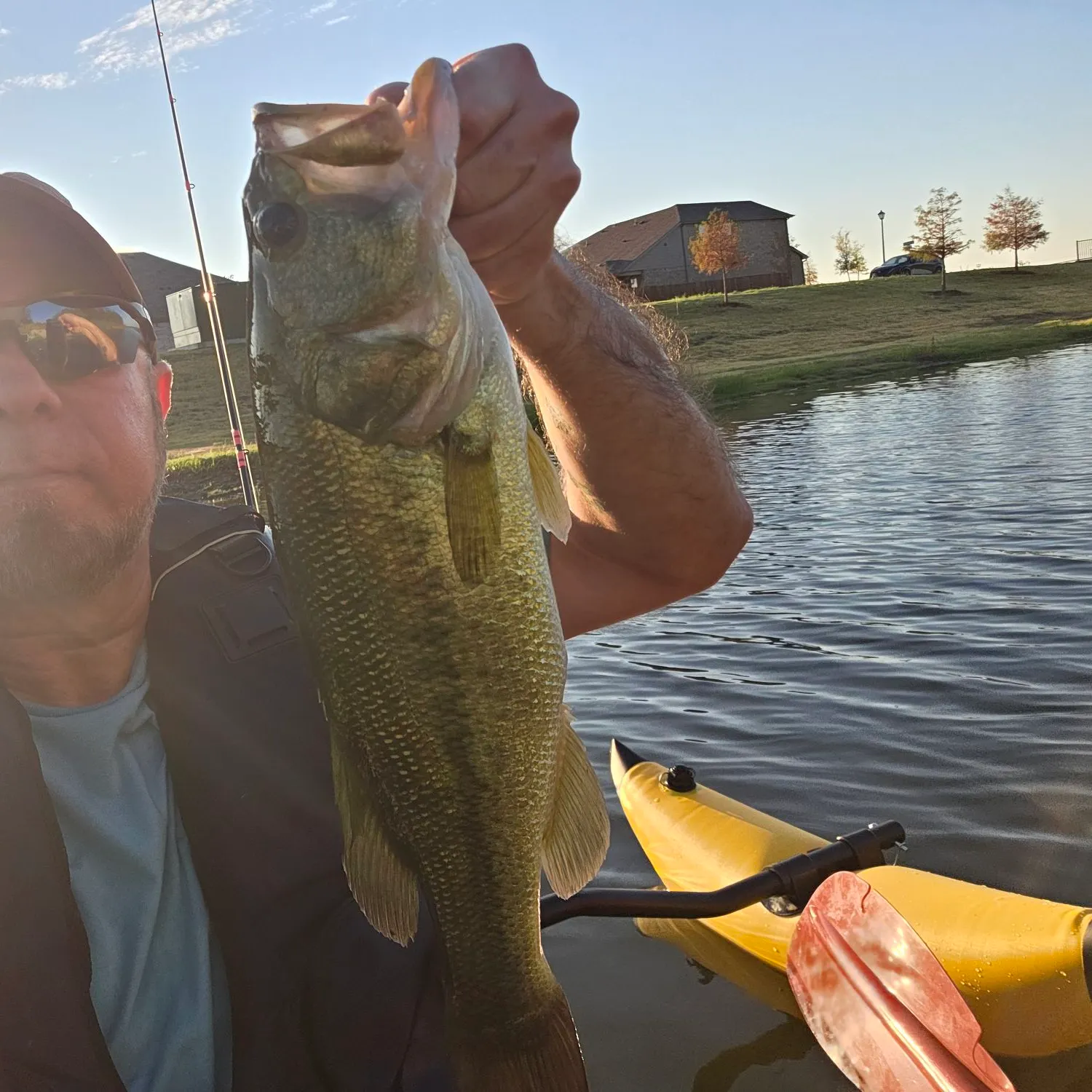 Largemouth bass caught on Fishbrain