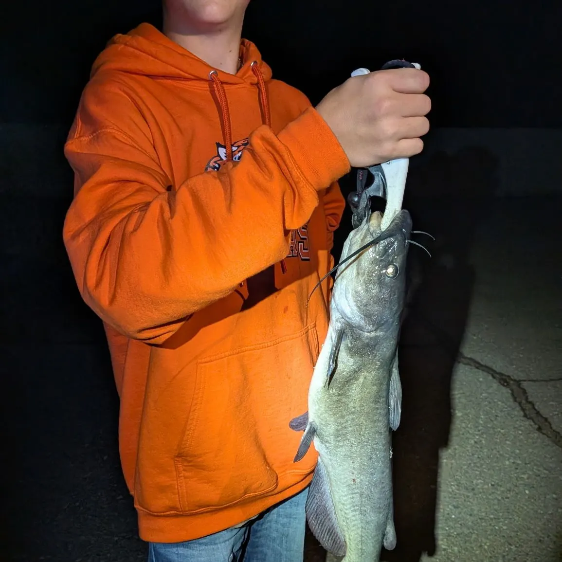 Channel catfish caught on Fishbrain