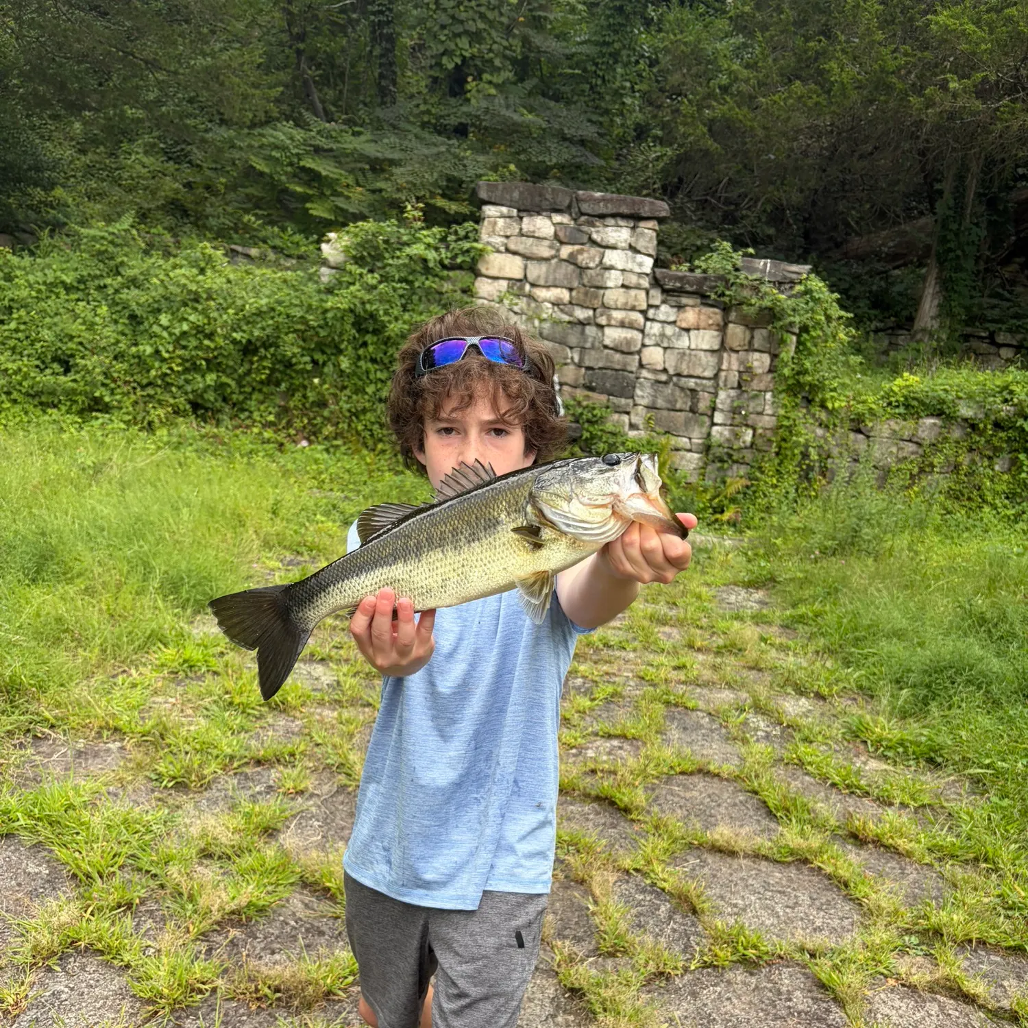 Fish caught on Fishbrain