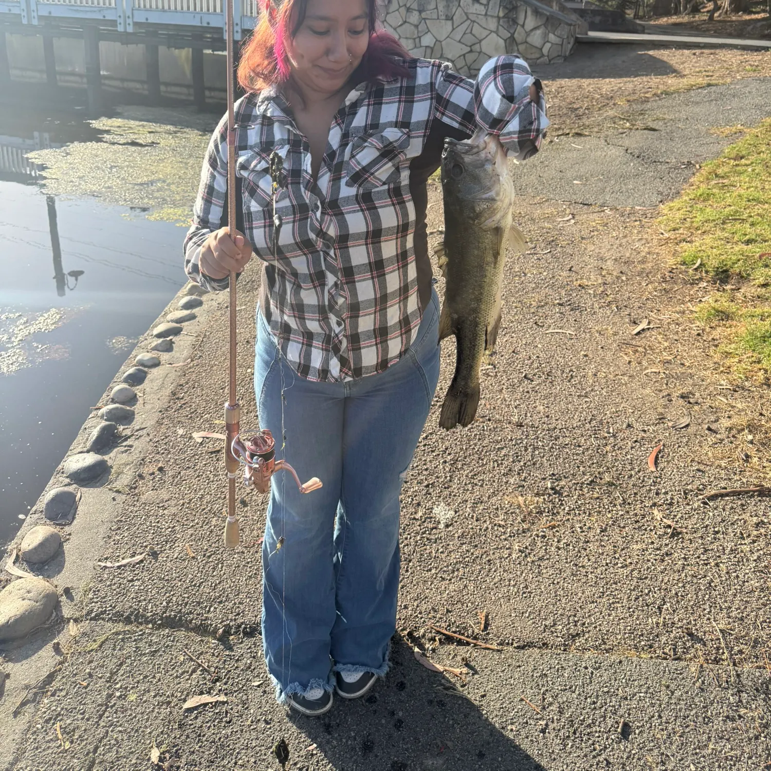 Largemouth bass caught on Fishbrain