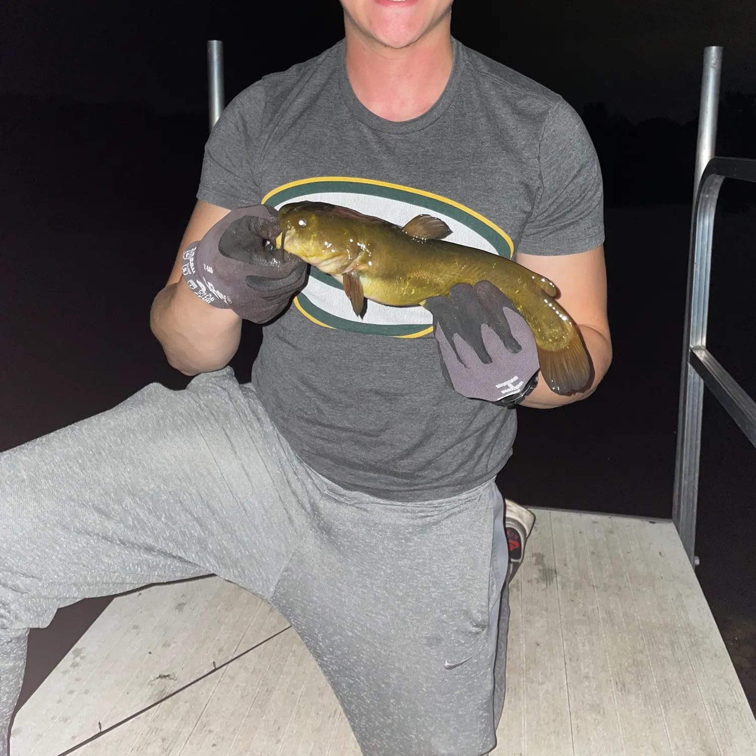 Yellow bullhead caught on Fishbrain