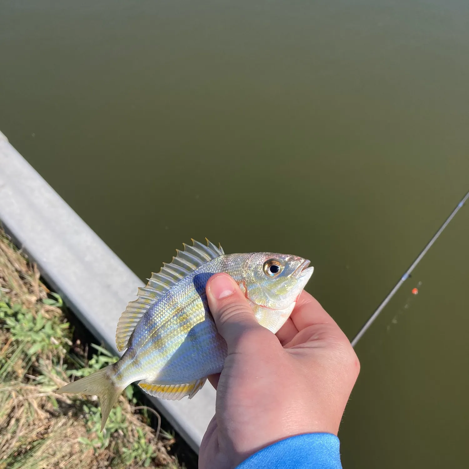 angler catch