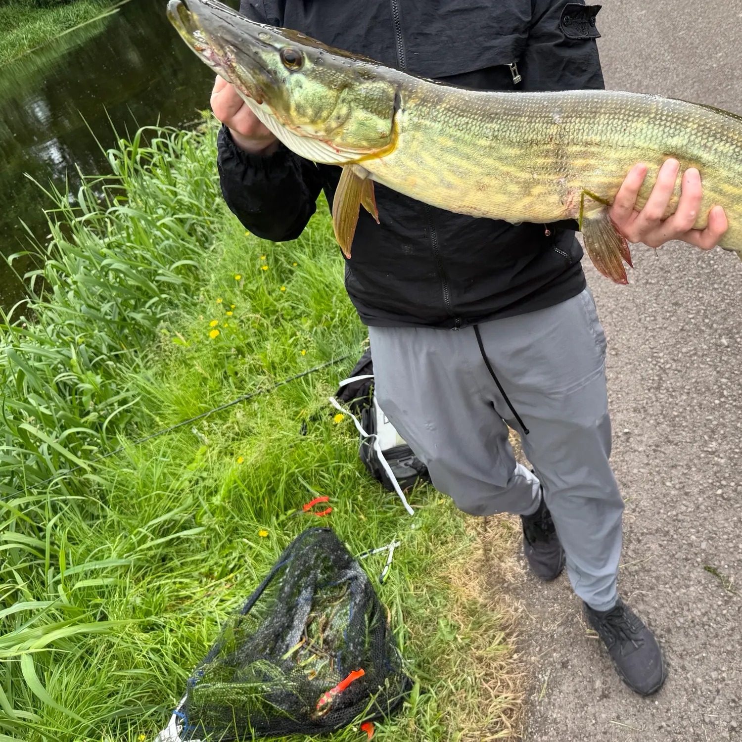 catch