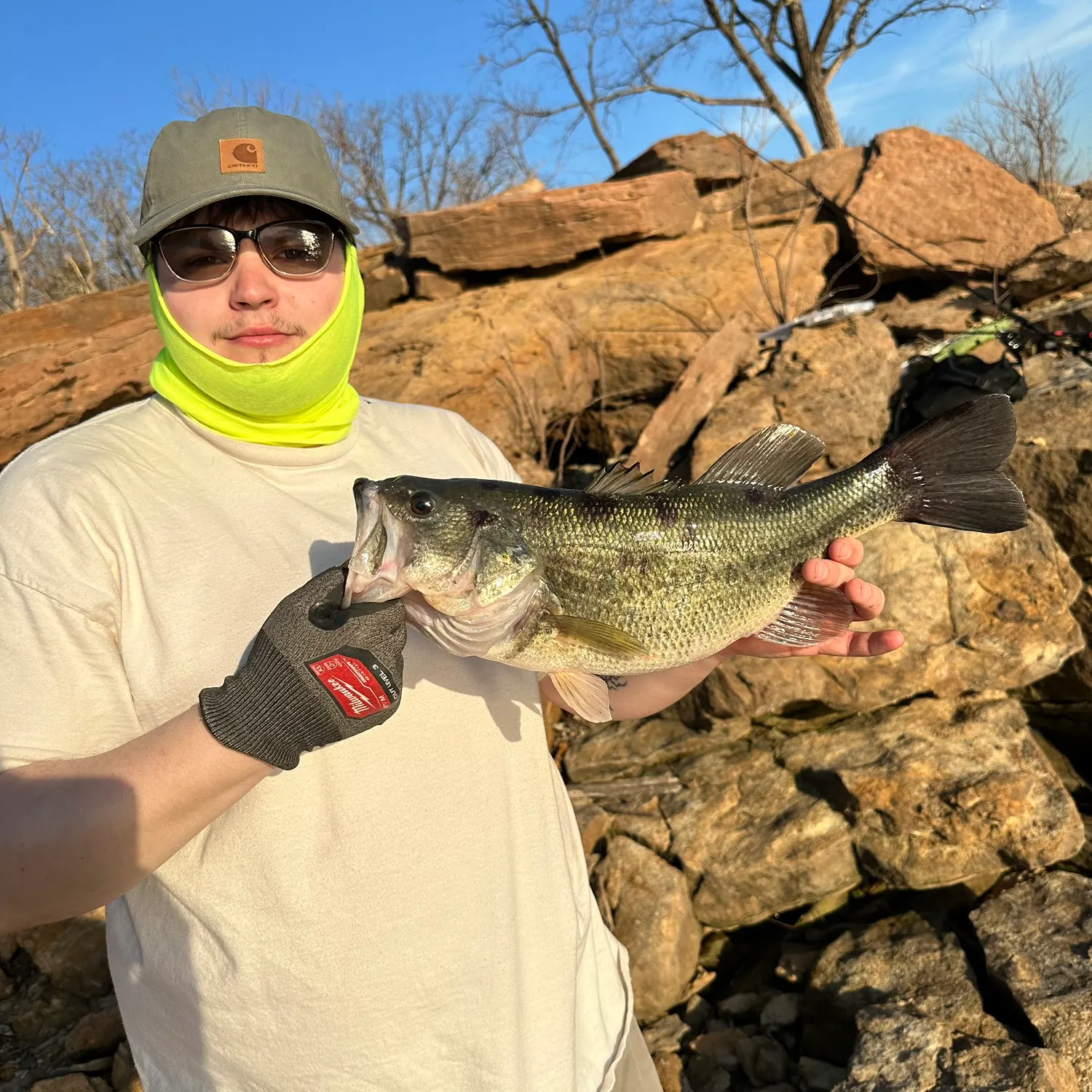 The most recent Brownspot largemouth catches on Fishbrain