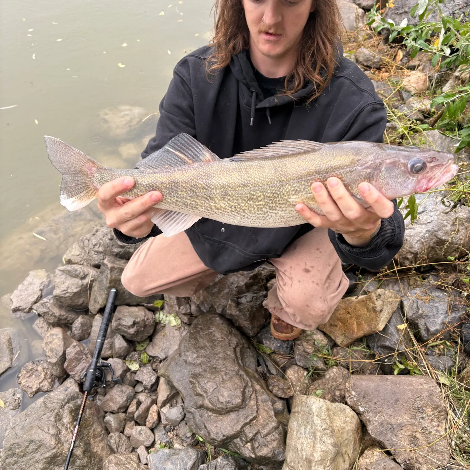 Walleye caught on Fishbrain