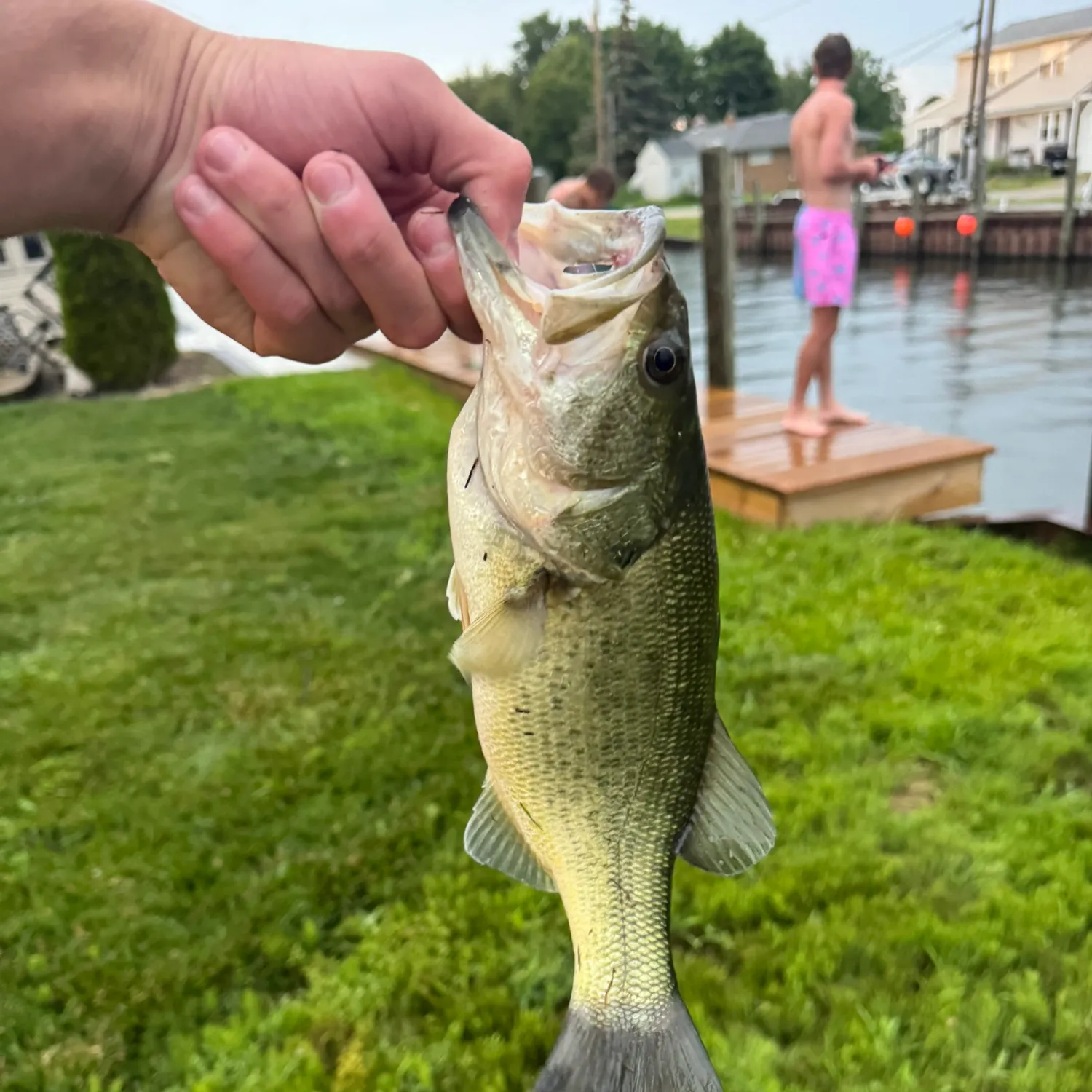 catch