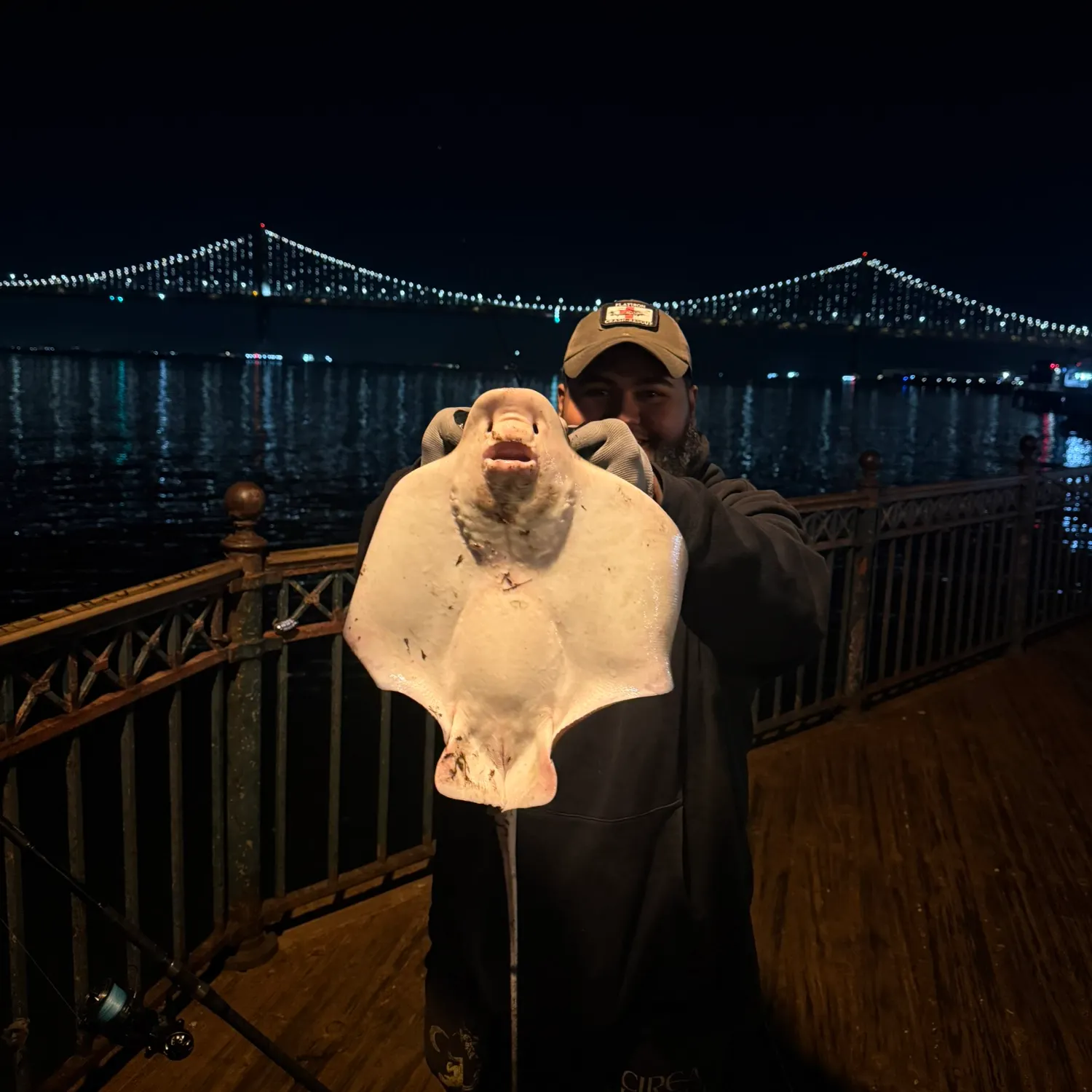 The most recent Bat eagle ray catches on Fishbrain