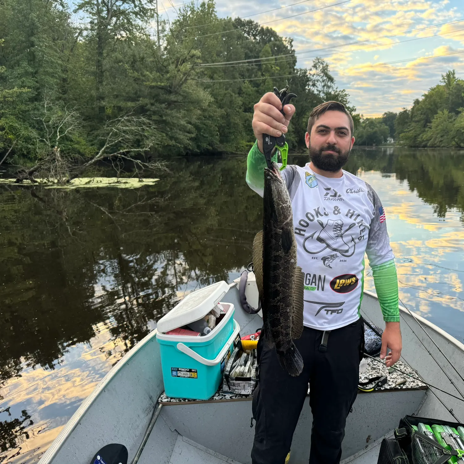 Northern snakehead caught on Fishbrain