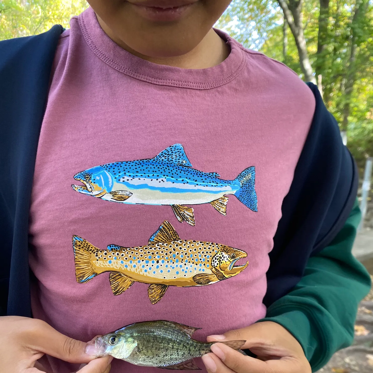 Black crappie caught on Fishbrain