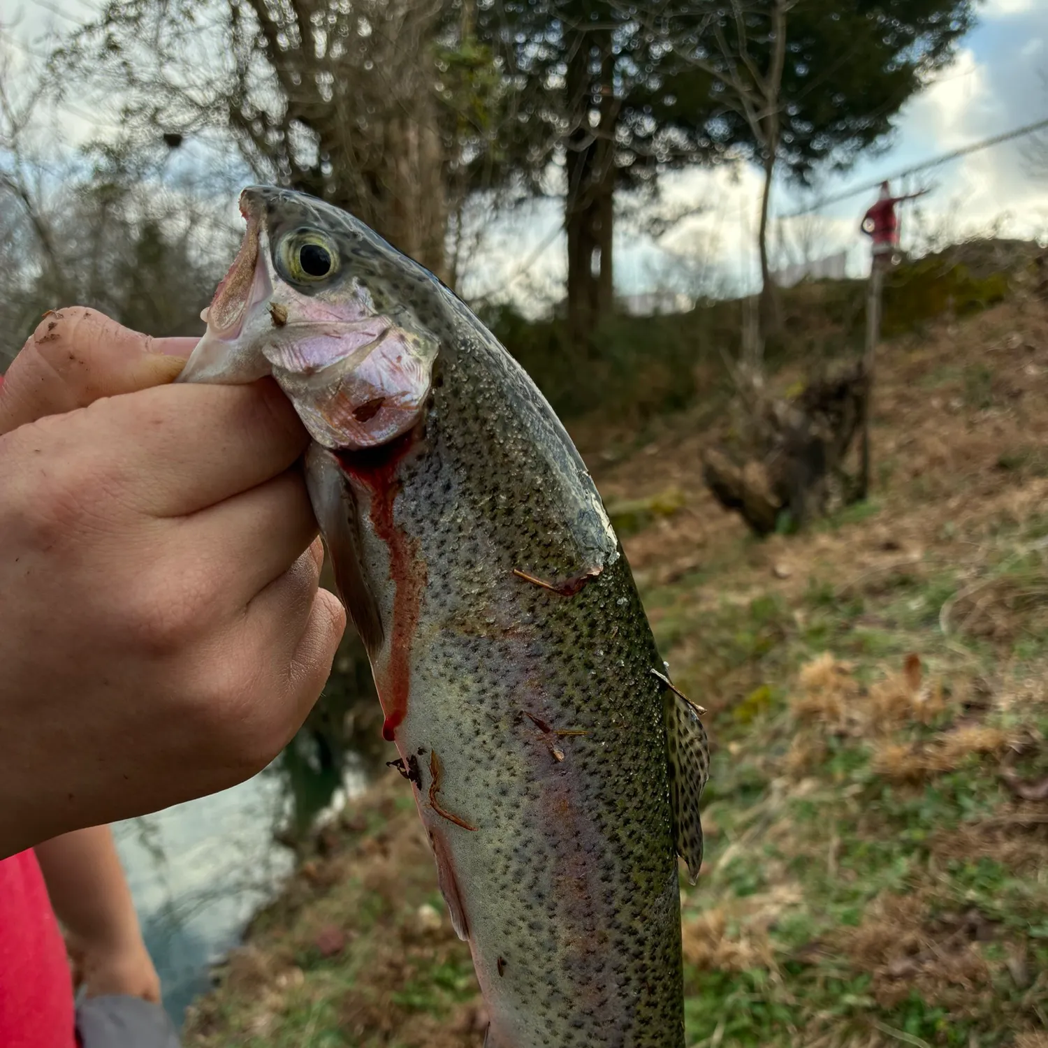 catch