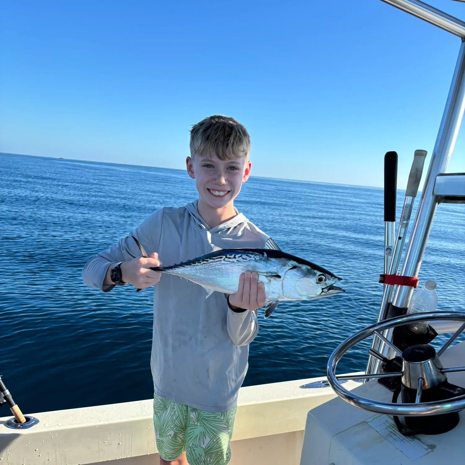 The most recent Atlantic bonito catches on Fishbrain